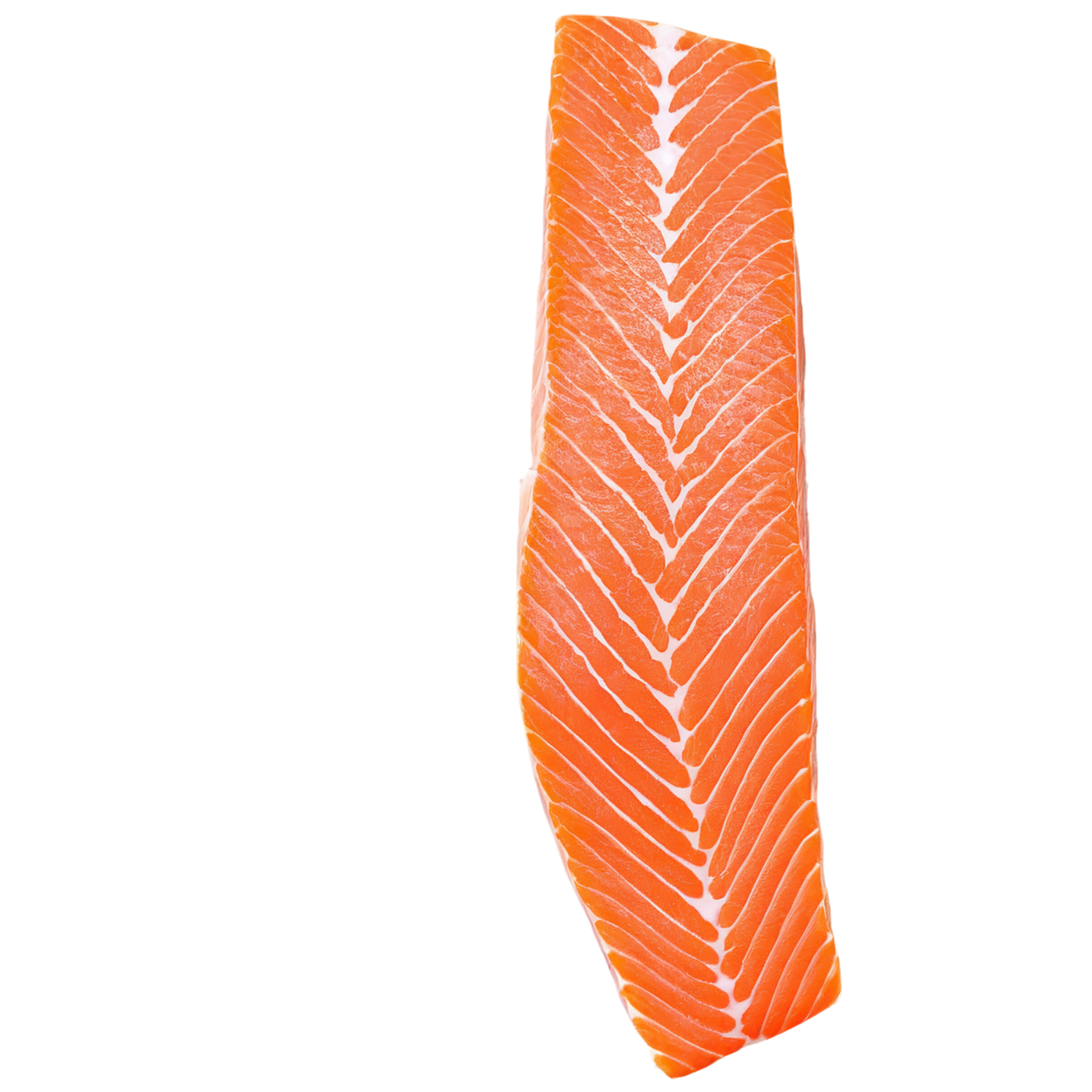 salmon fillet slice proteins isolated on transparent background #8667