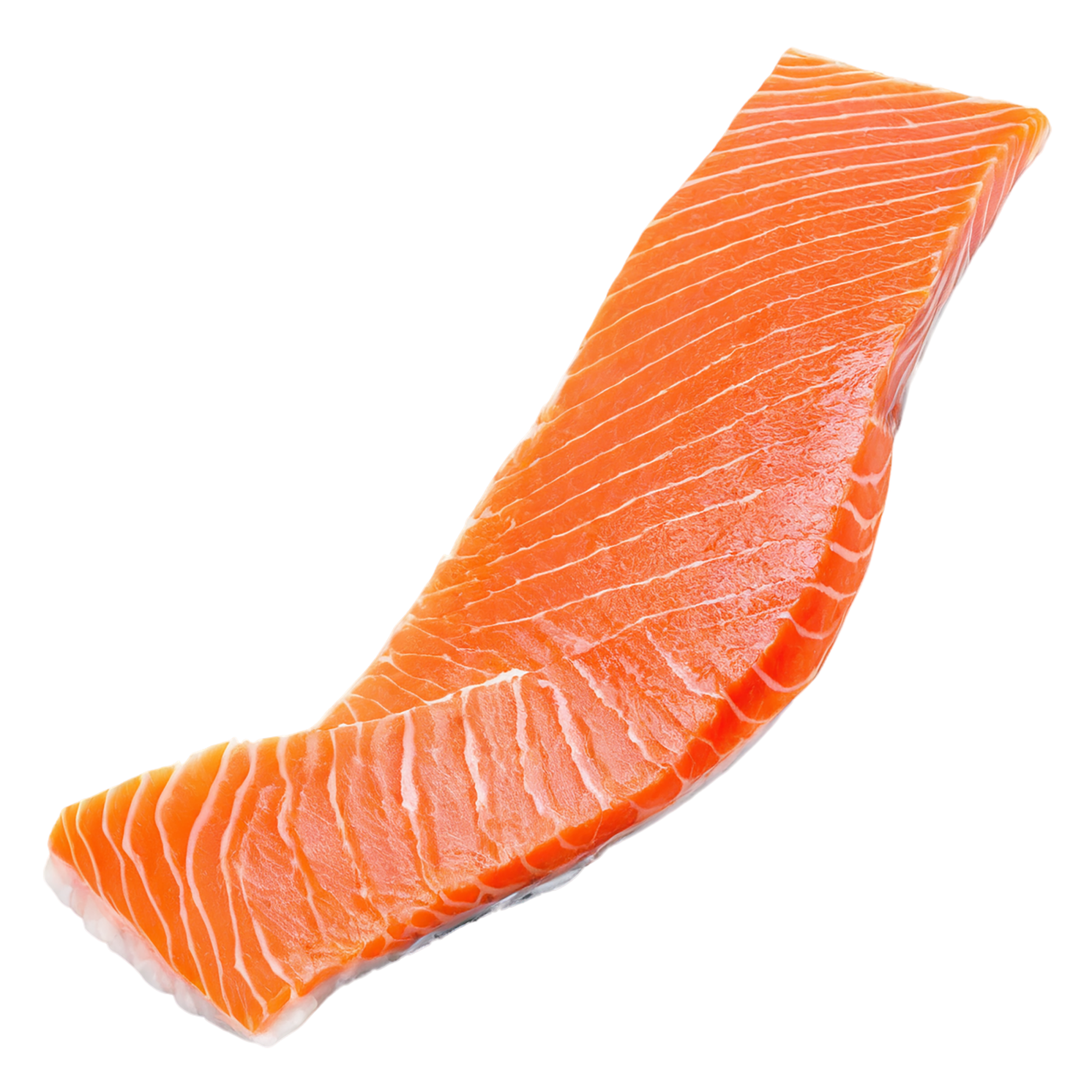 salmon fillet slice proteins isolated on transparent background #8668