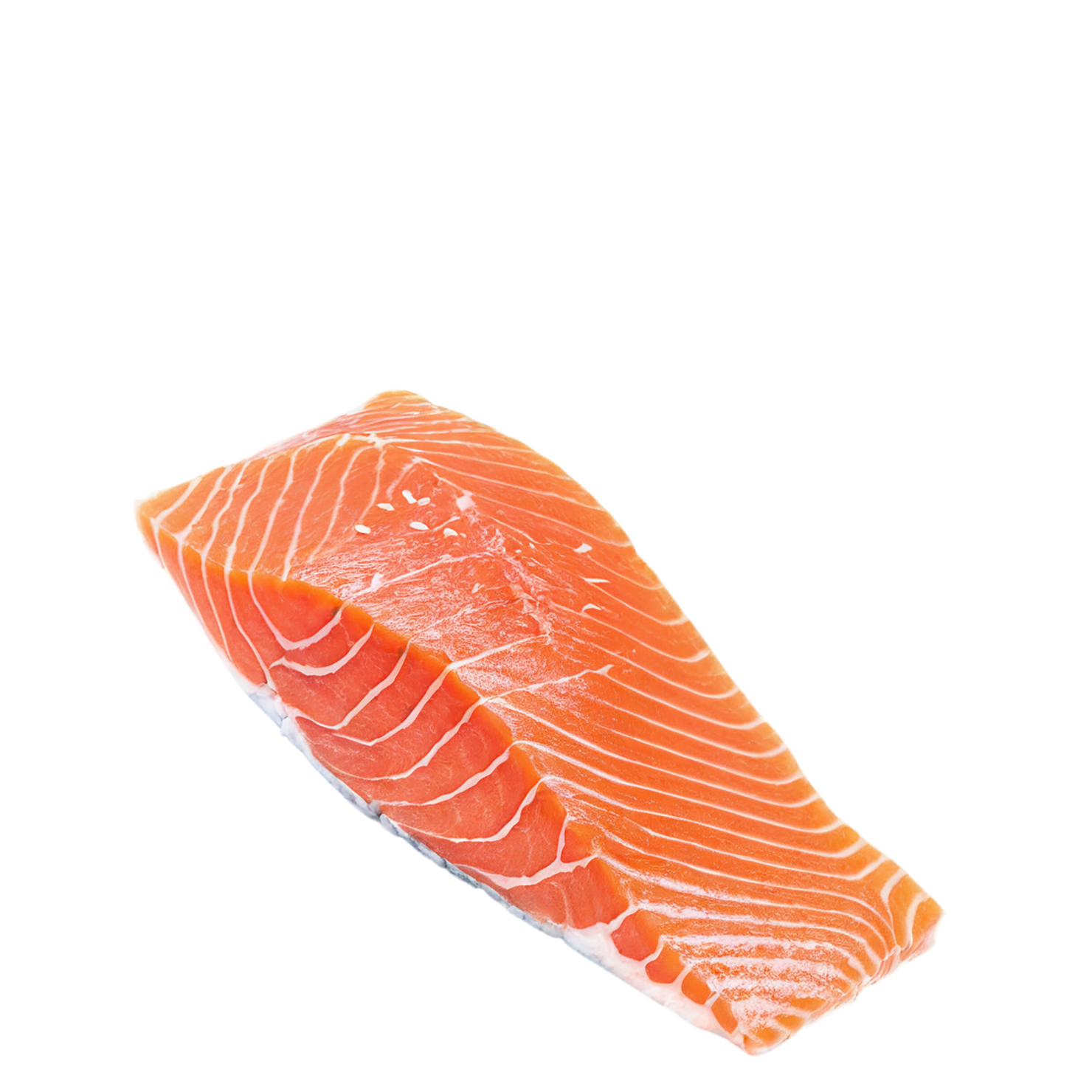 salmon fillet slice proteins isolated on transparent background #8669