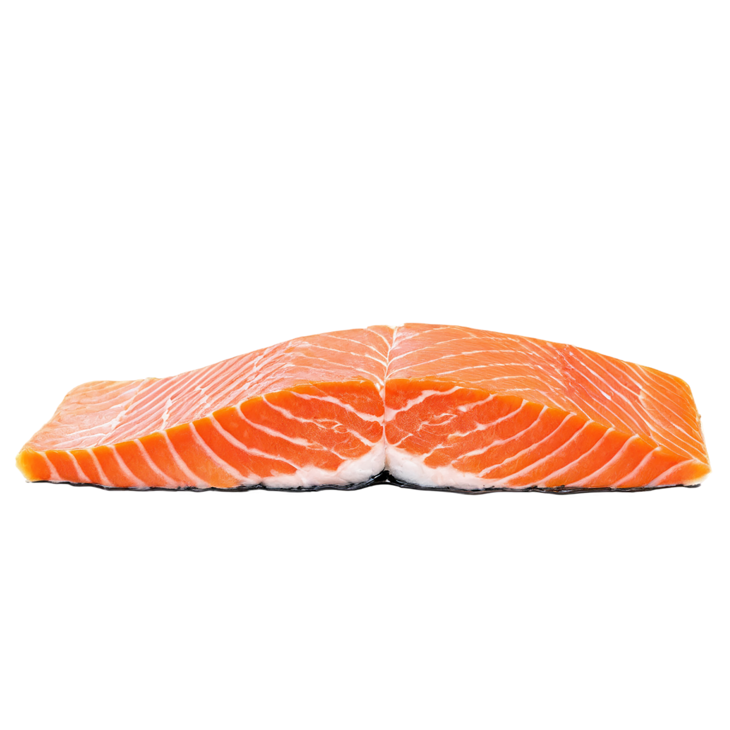 salmon fillet slice proteins isolated on transparent background #8670