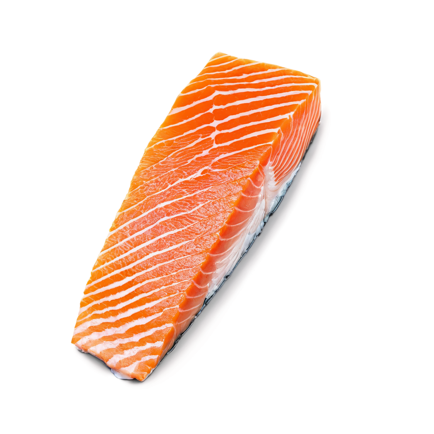 salmon fillet slice proteins isolated on transparent background #8671