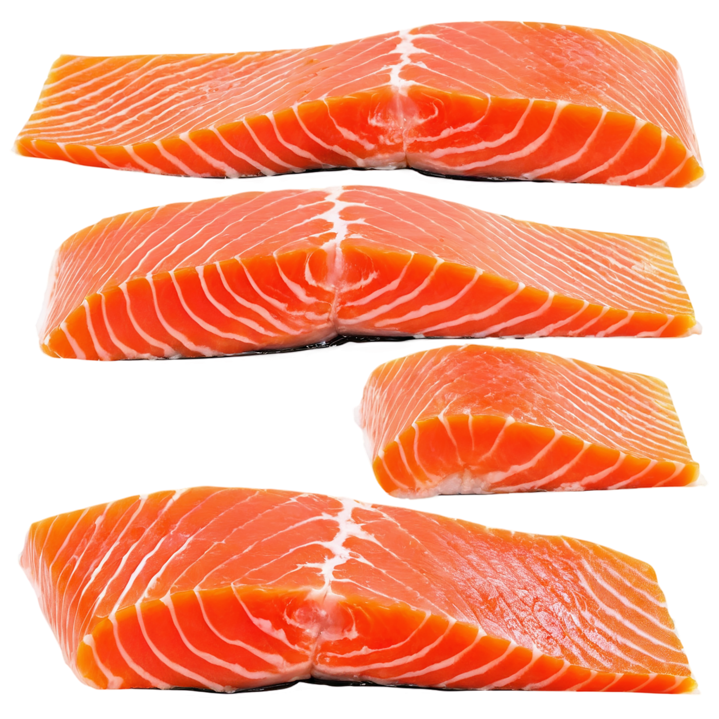 salmon fillet slice proteins isolated on transparent background #8672