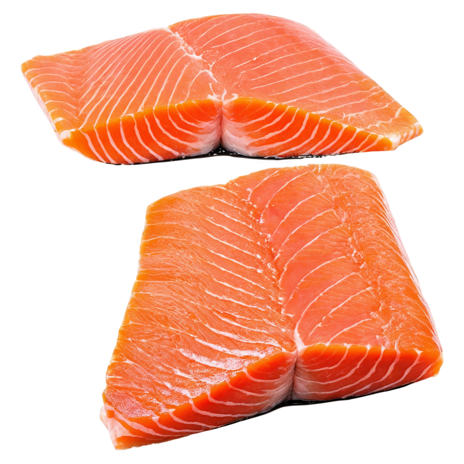salmon fillet slice proteins isolated on transparent background #8673