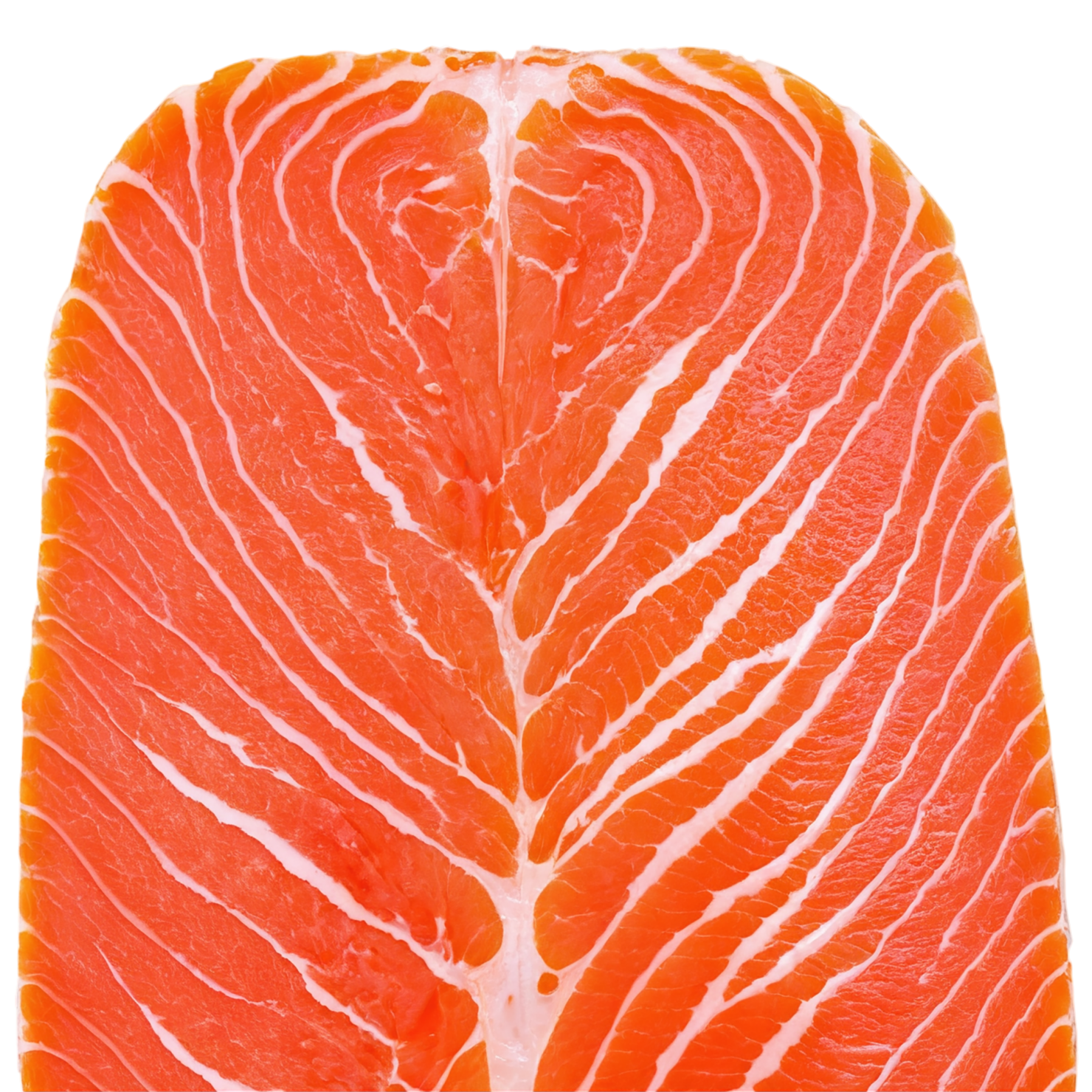 salmon fillet slice proteins isolated on transparent background #8674