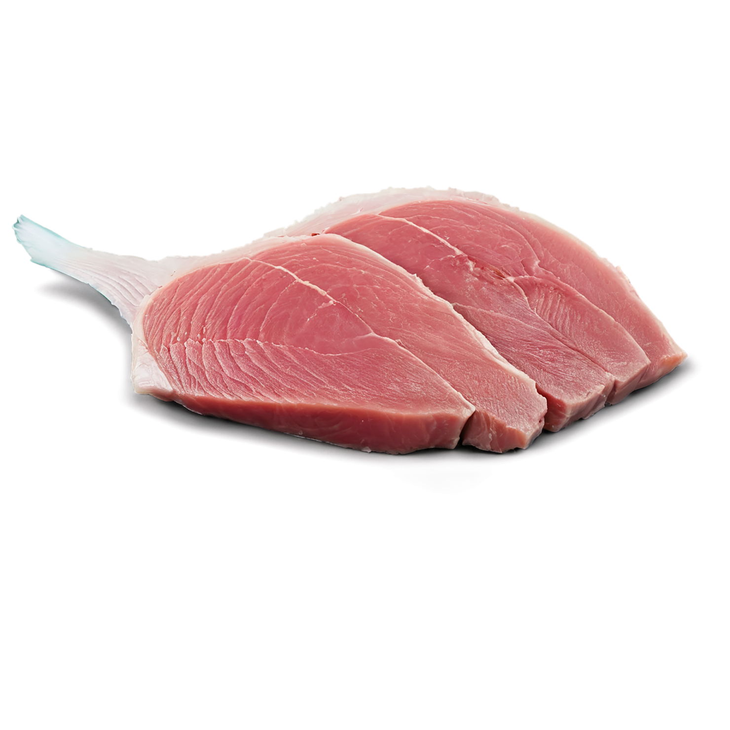 Tuna fillet proteins isolated on transparent background #8734