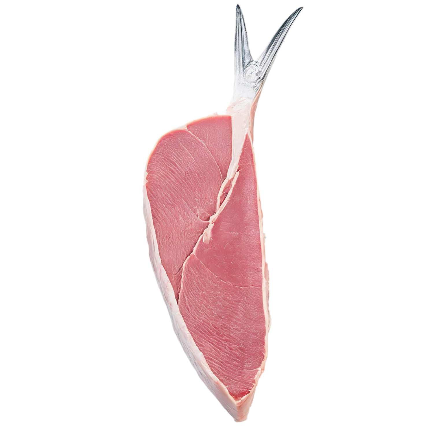 Tuna fillet proteins isolated on transparent background #8738