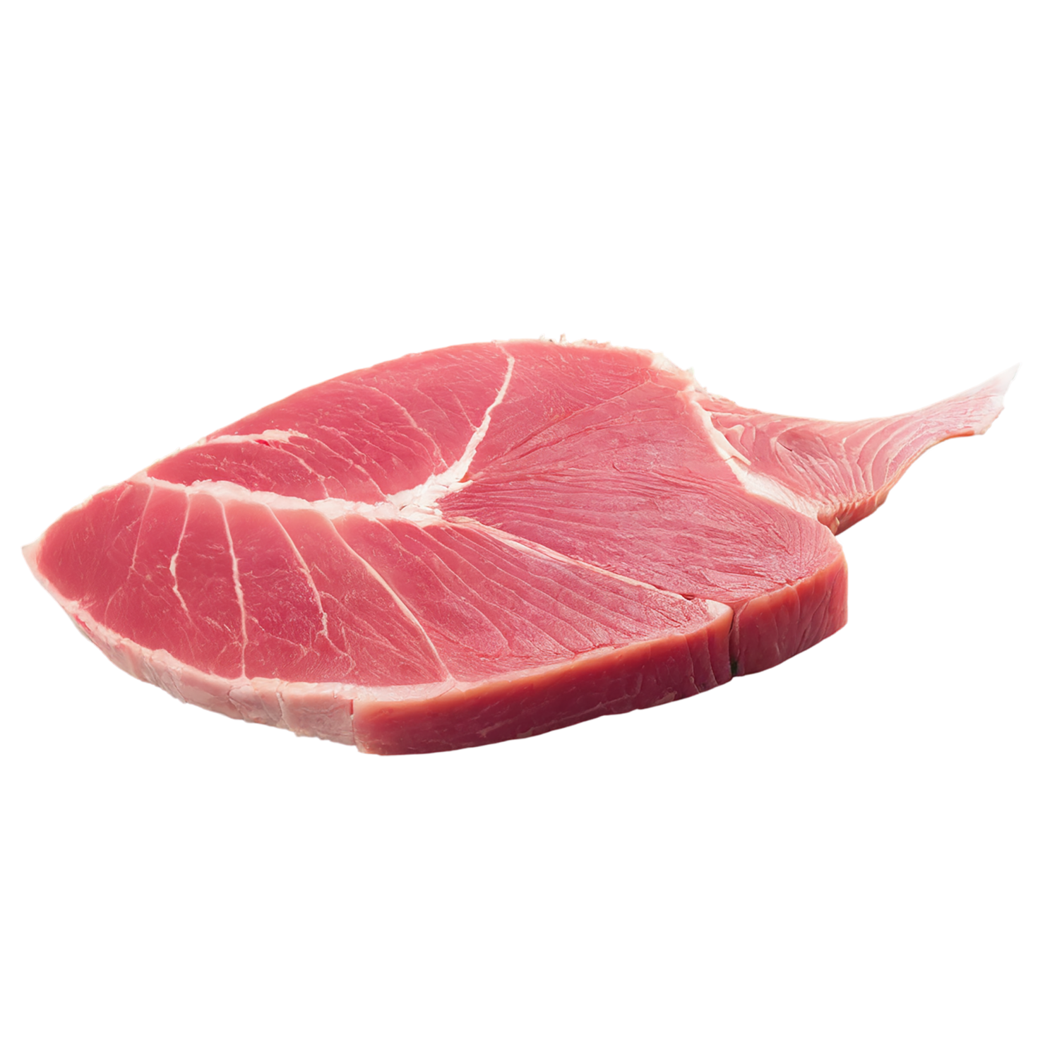 Tuna fillet proteins isolated on transparent background #8739