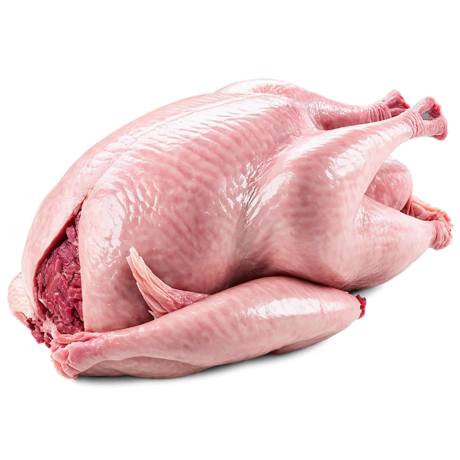 Turkey proteins isolated on transparent background #8752