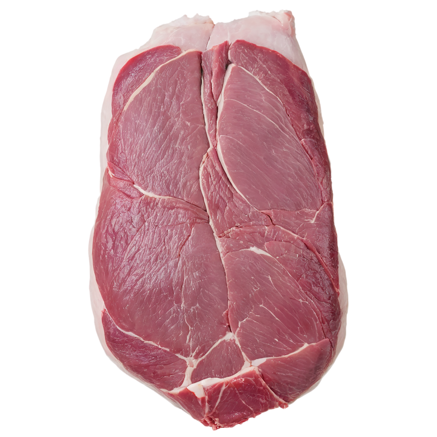 Turkey proteins isolated on transparent background #8755