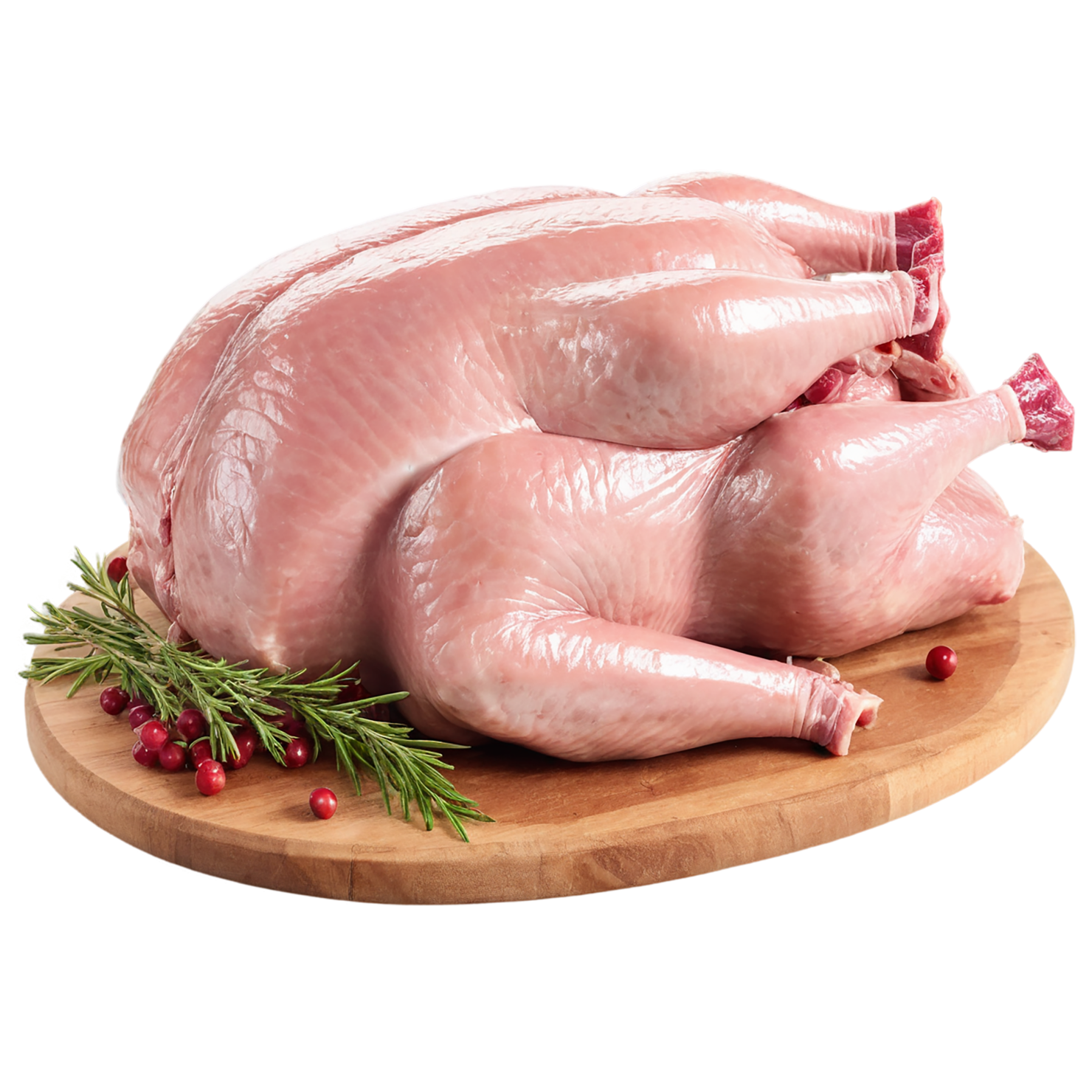 Turkey proteins isolated on transparent background #8756