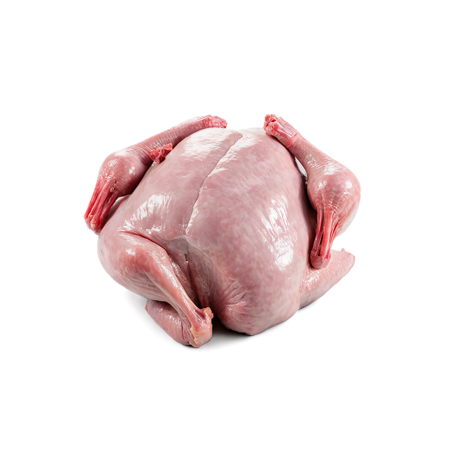 Turkey proteins isolated on transparent background #8759