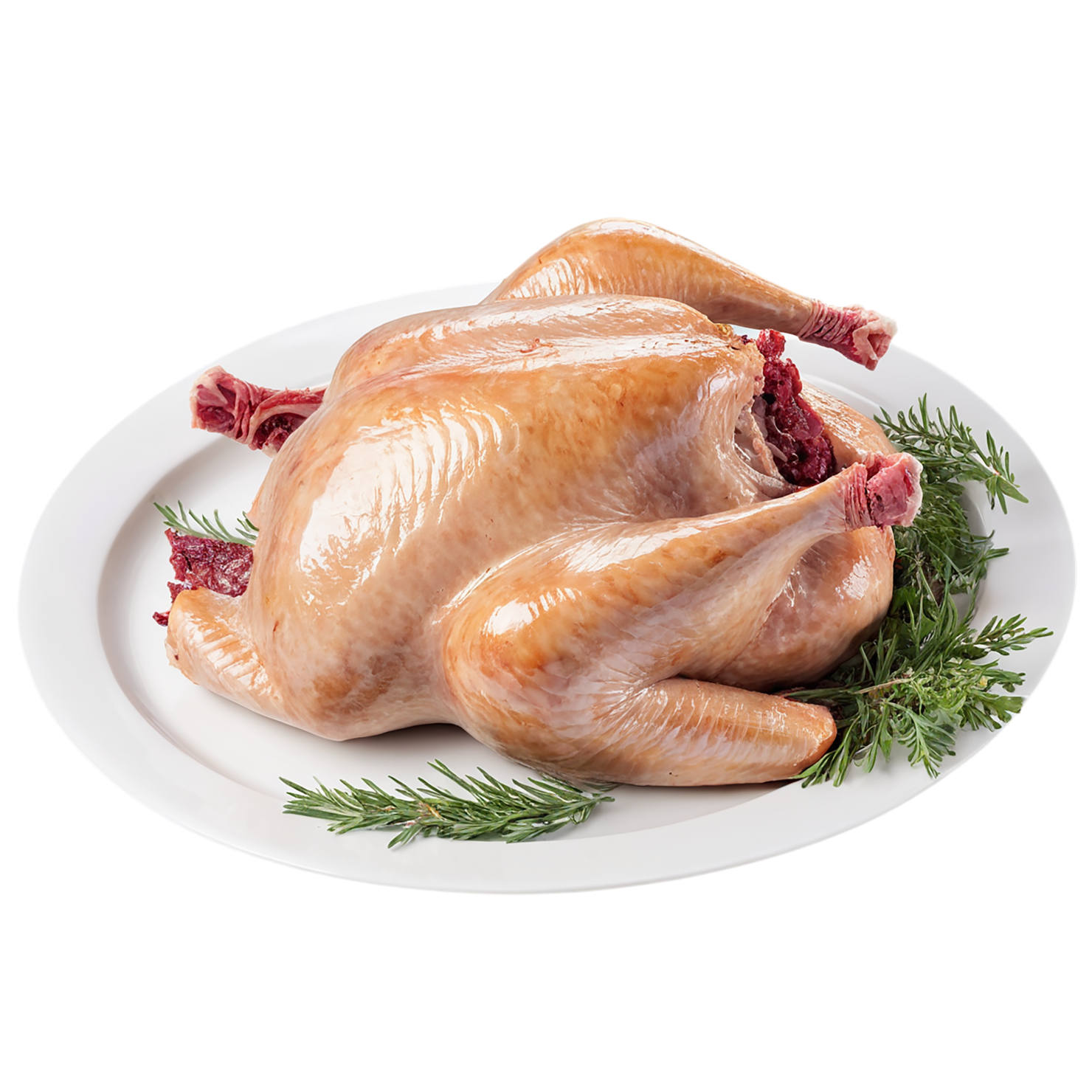 Turkey proteins isolated on transparent background #8763