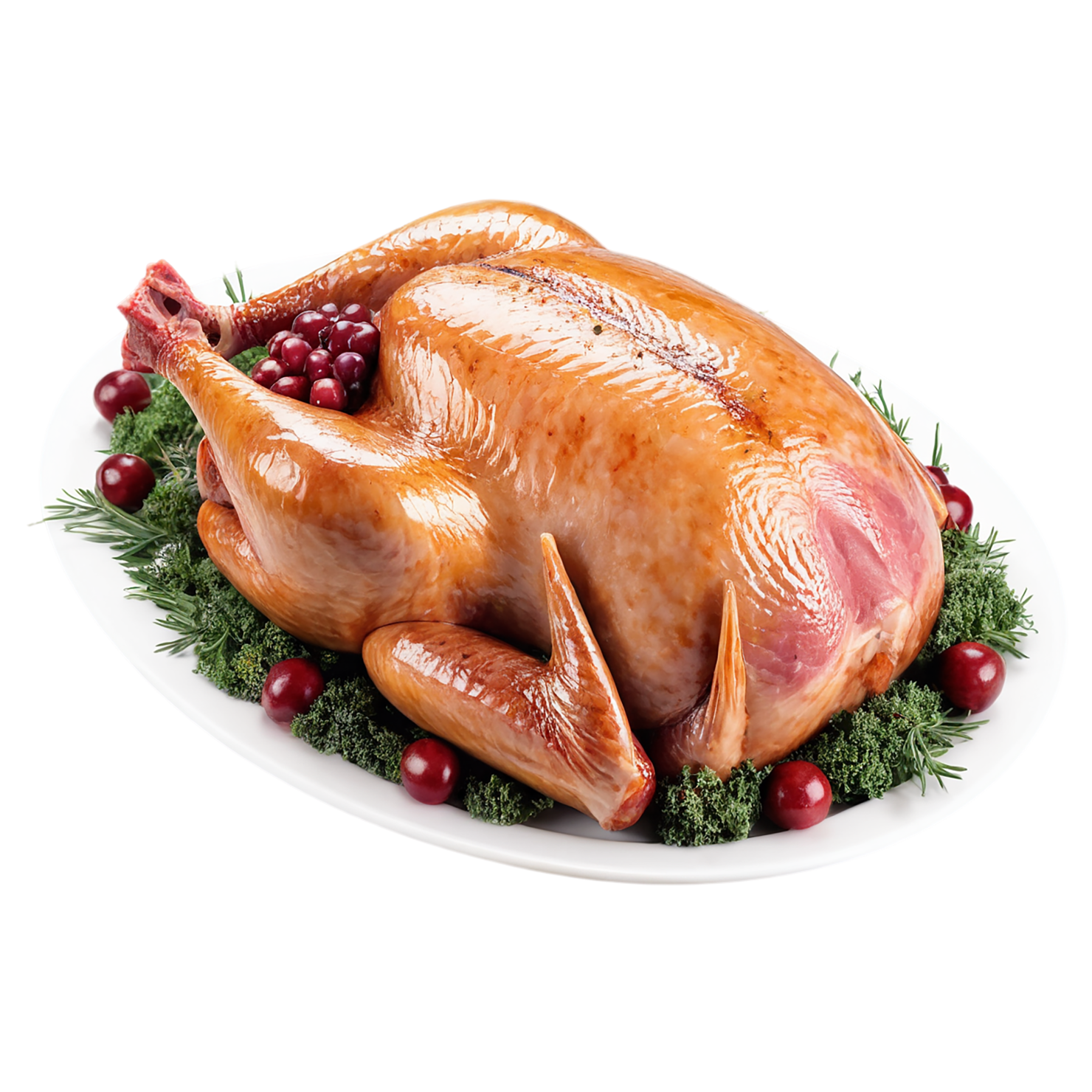 Turkey proteins isolated on transparent background #8764