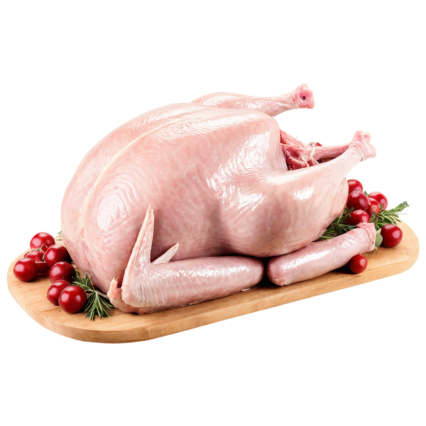 Turkey proteins isolated on transparent background #8770