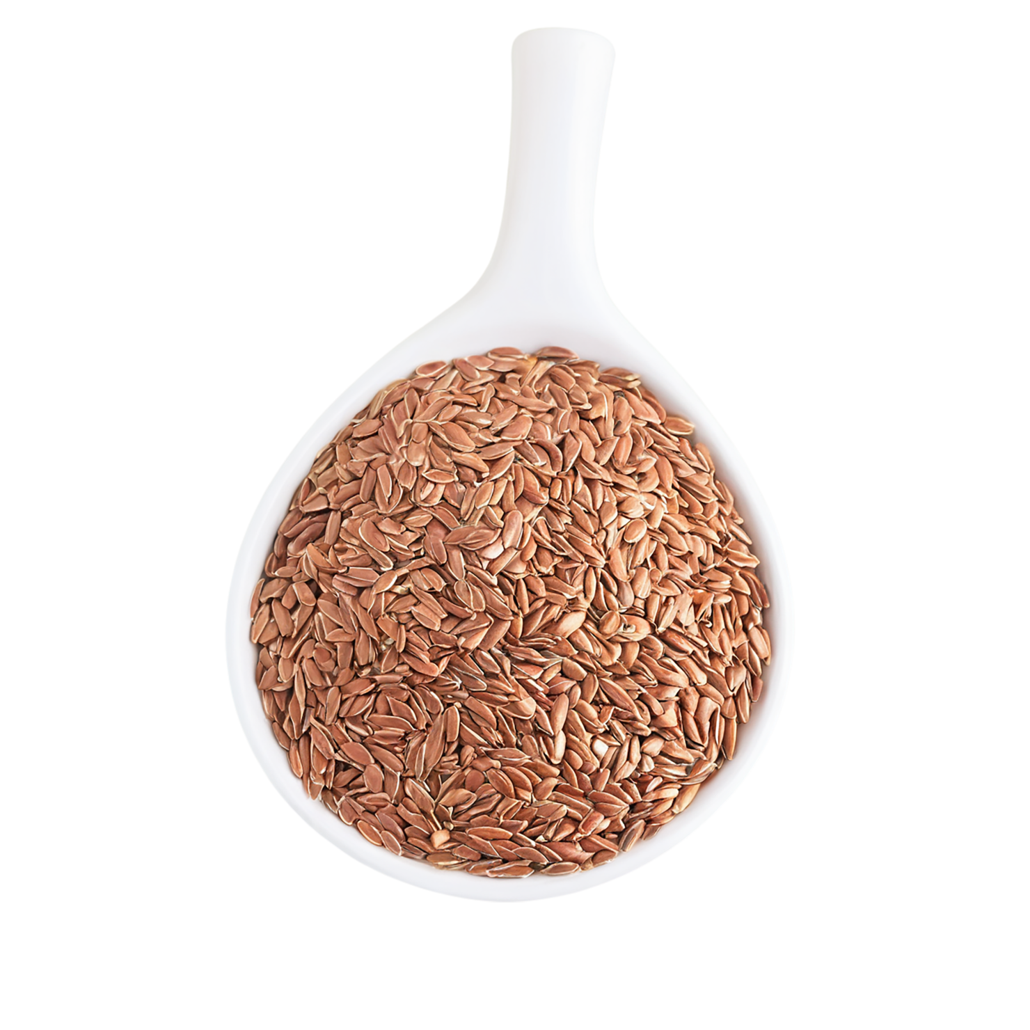 Flaxseeds isolated on transparent background #8812