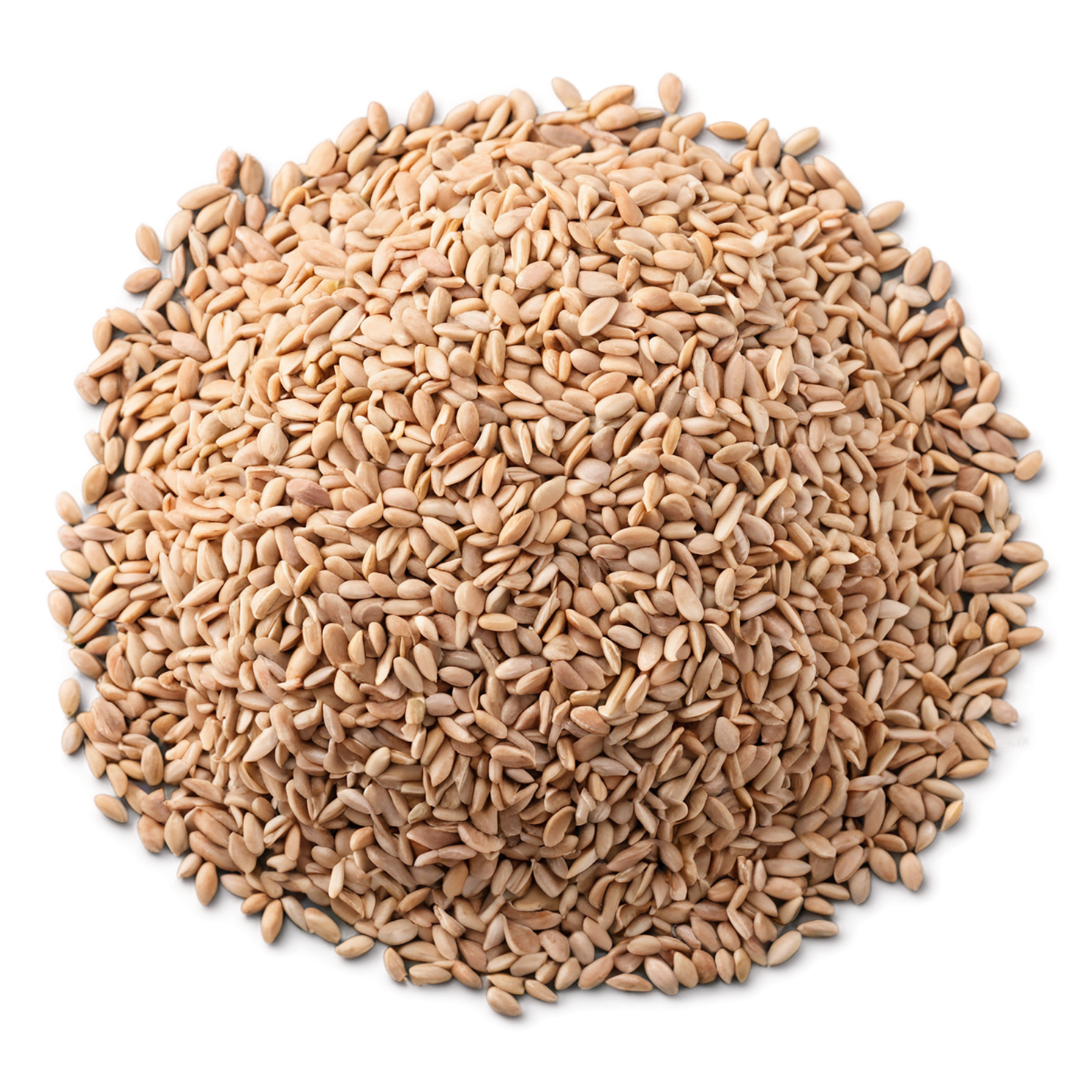 Groats seeds isolated on transparent background #8813