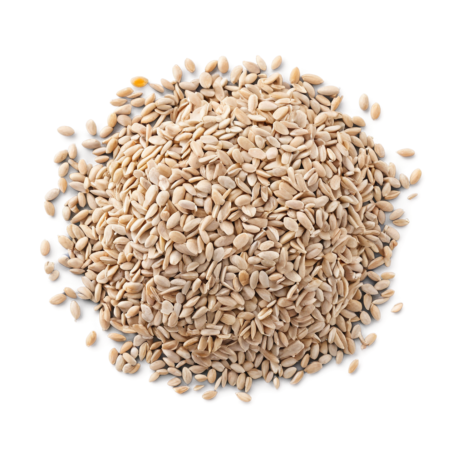 Groats seeds isolated on transparent background #8816