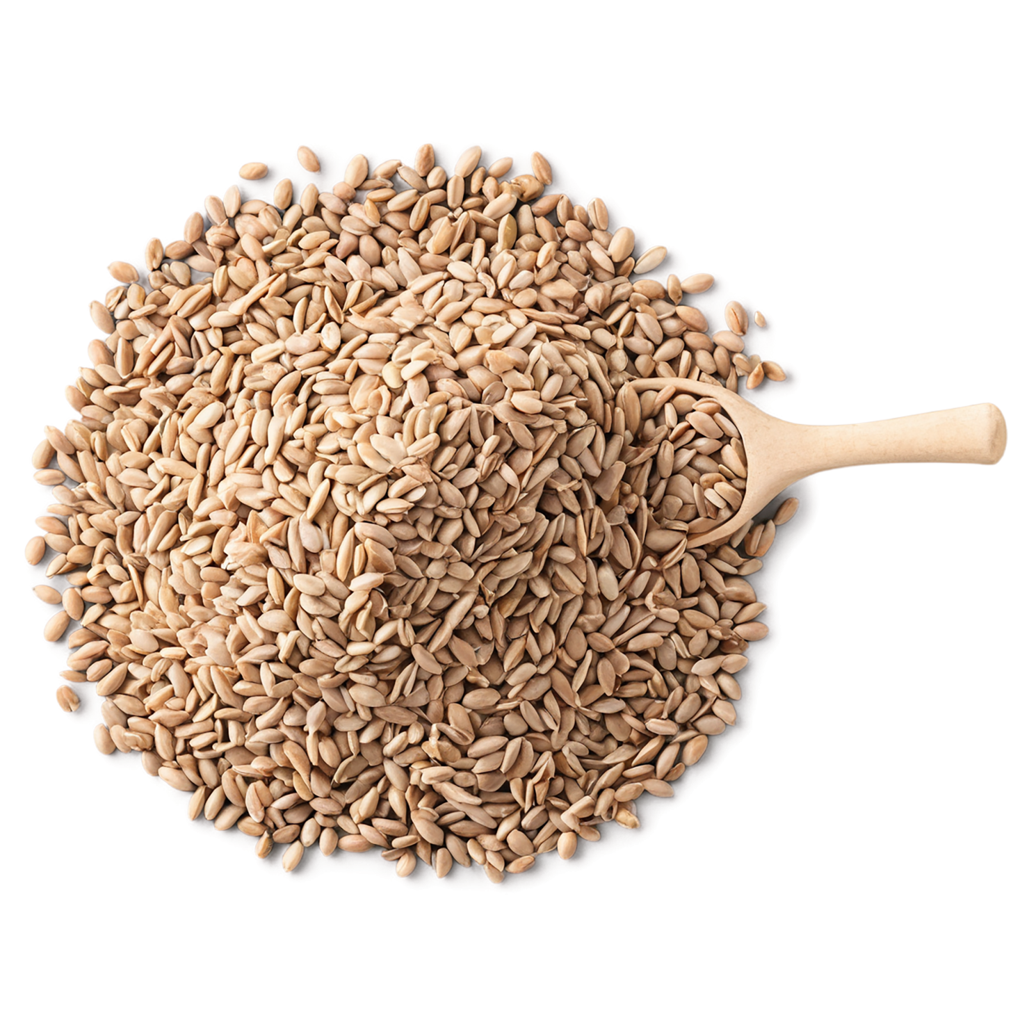 Groats seeds isolated on transparent background #8819