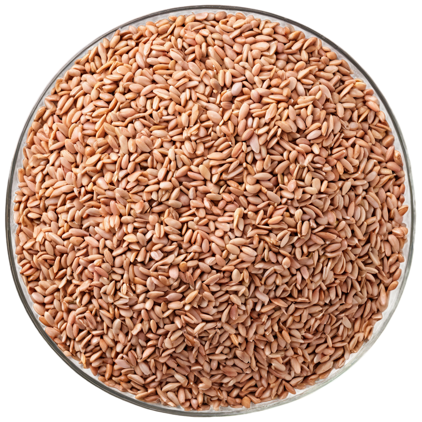 Groats seeds isolated on transparent background #8821