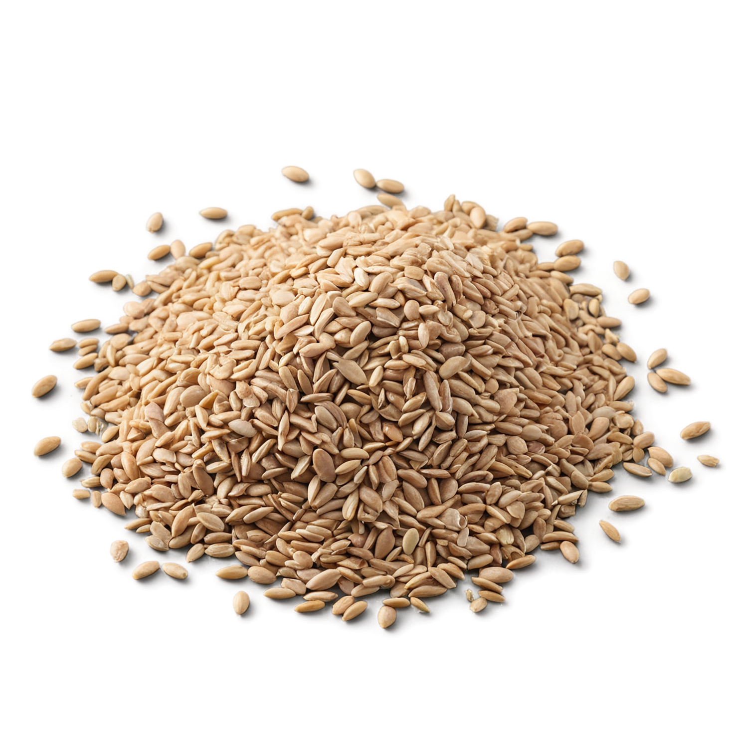 Groats seeds isolated on transparent background #8824