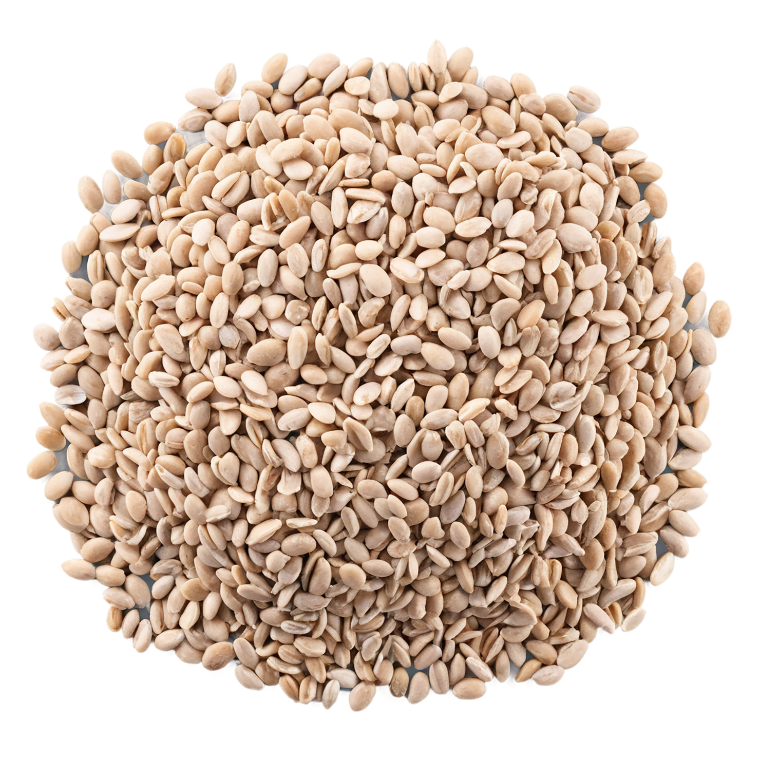 Groats seeds isolated on transparent background #8826