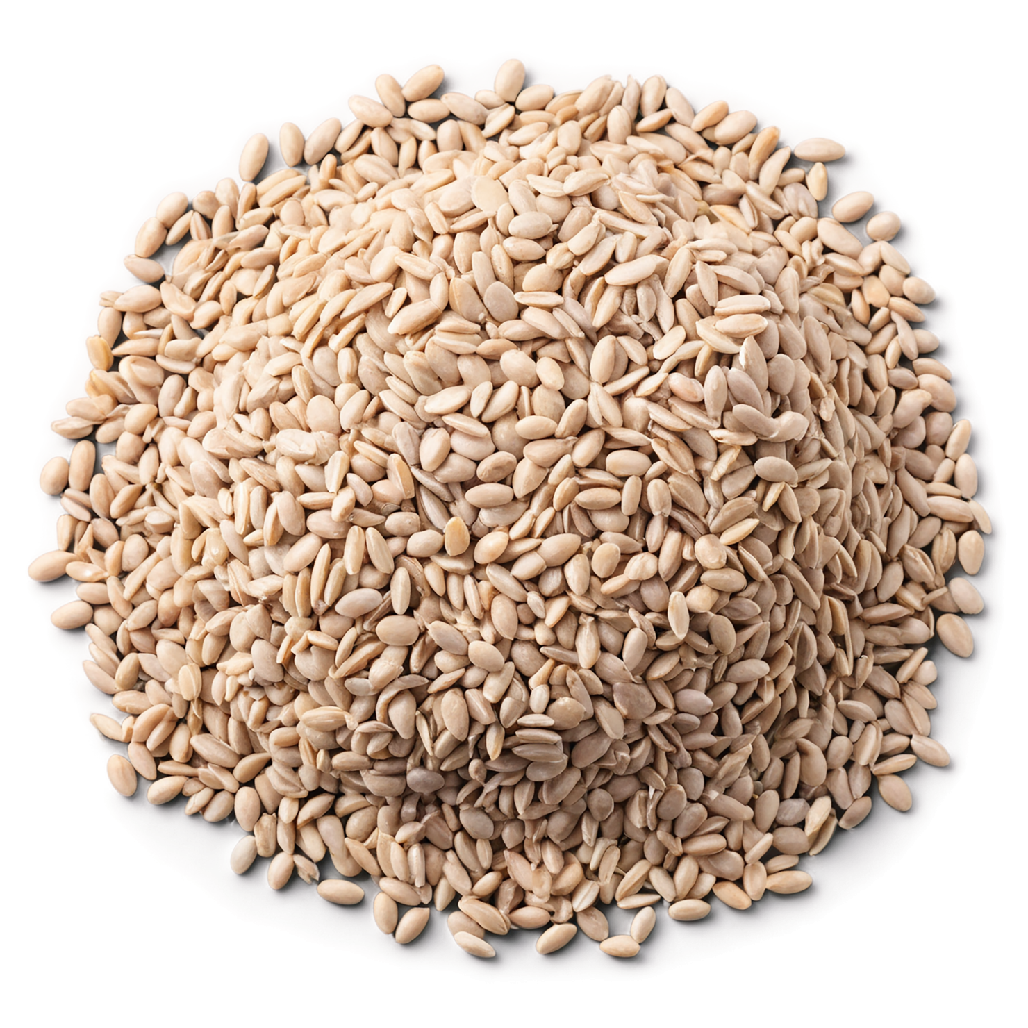 Groats seeds isolated on transparent background #8832