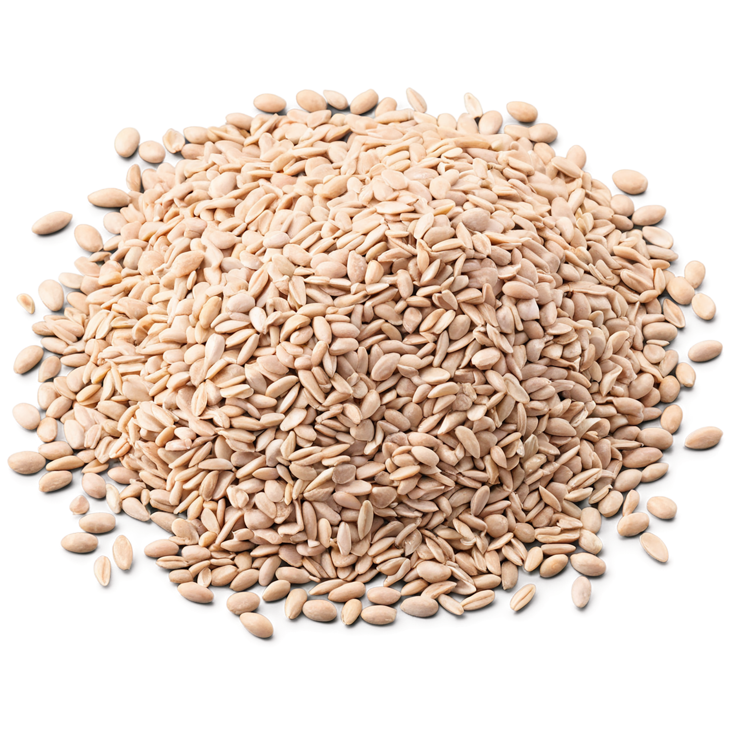 Groats seeds isolated on transparent background #8834