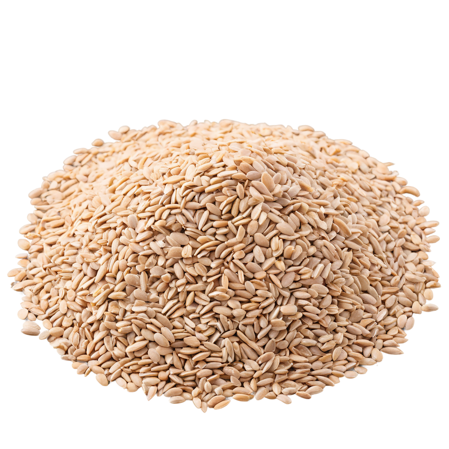 Groats seeds isolated on transparent background #8836