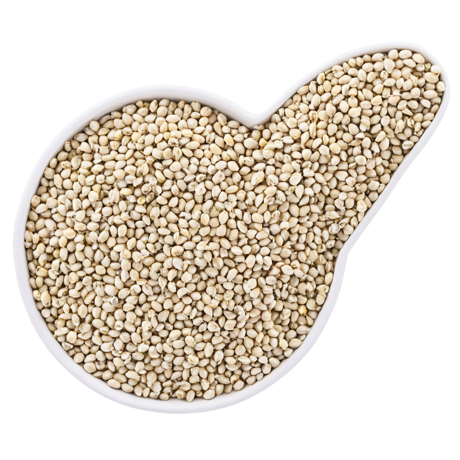 Hemp seeds isolated on transparent background #8838