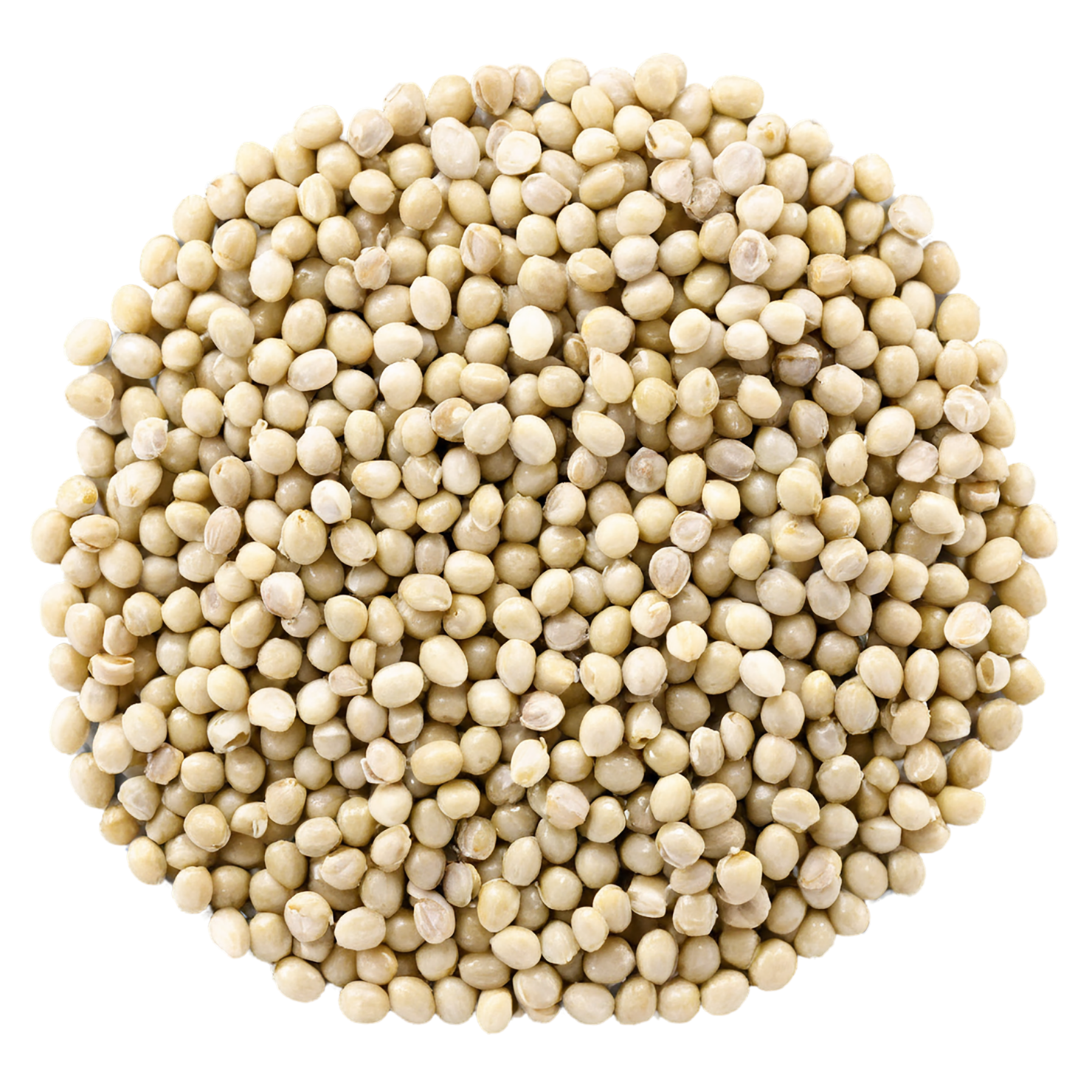 Hemp seeds isolated on transparent background #8839