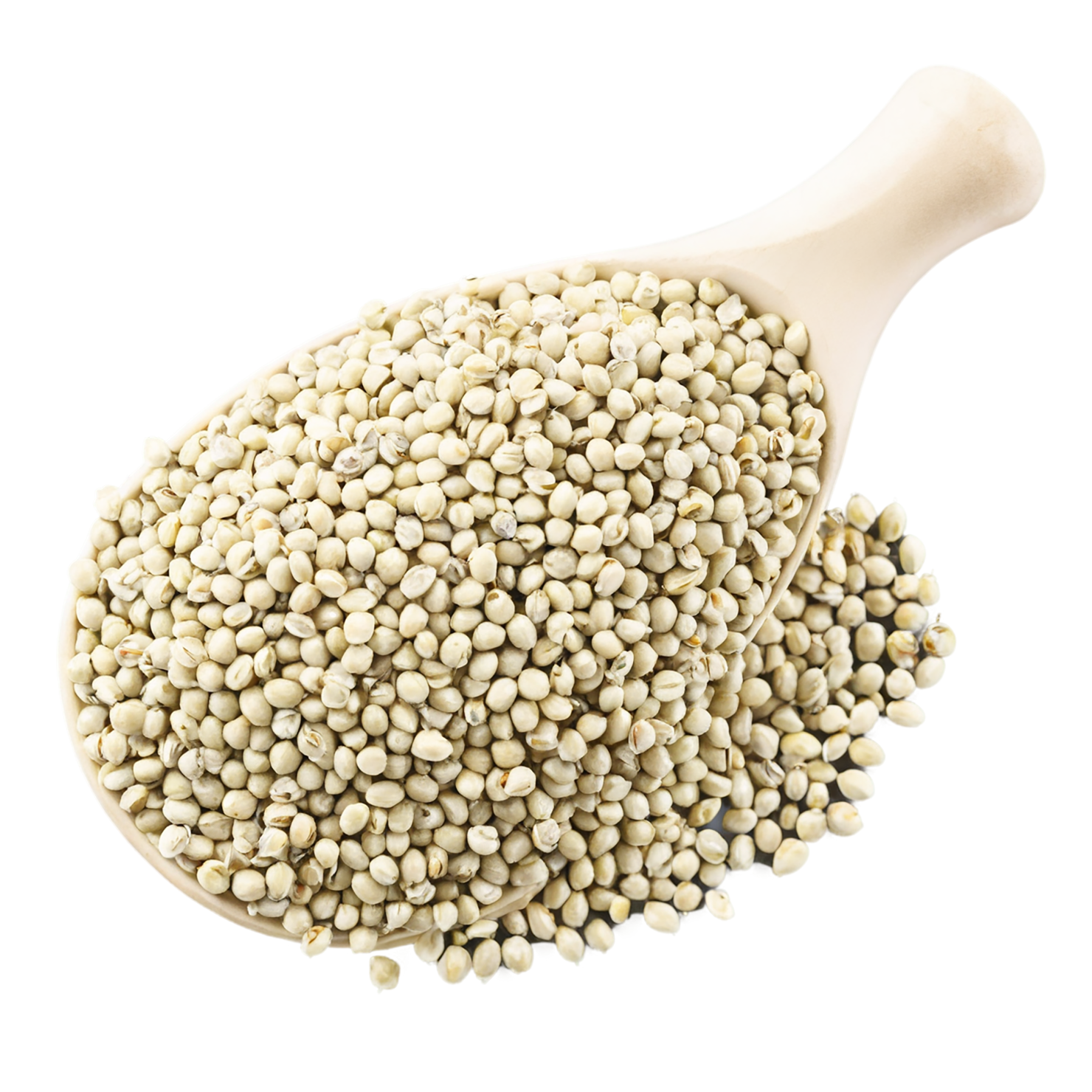 Hemp seeds isolated on transparent background #8840