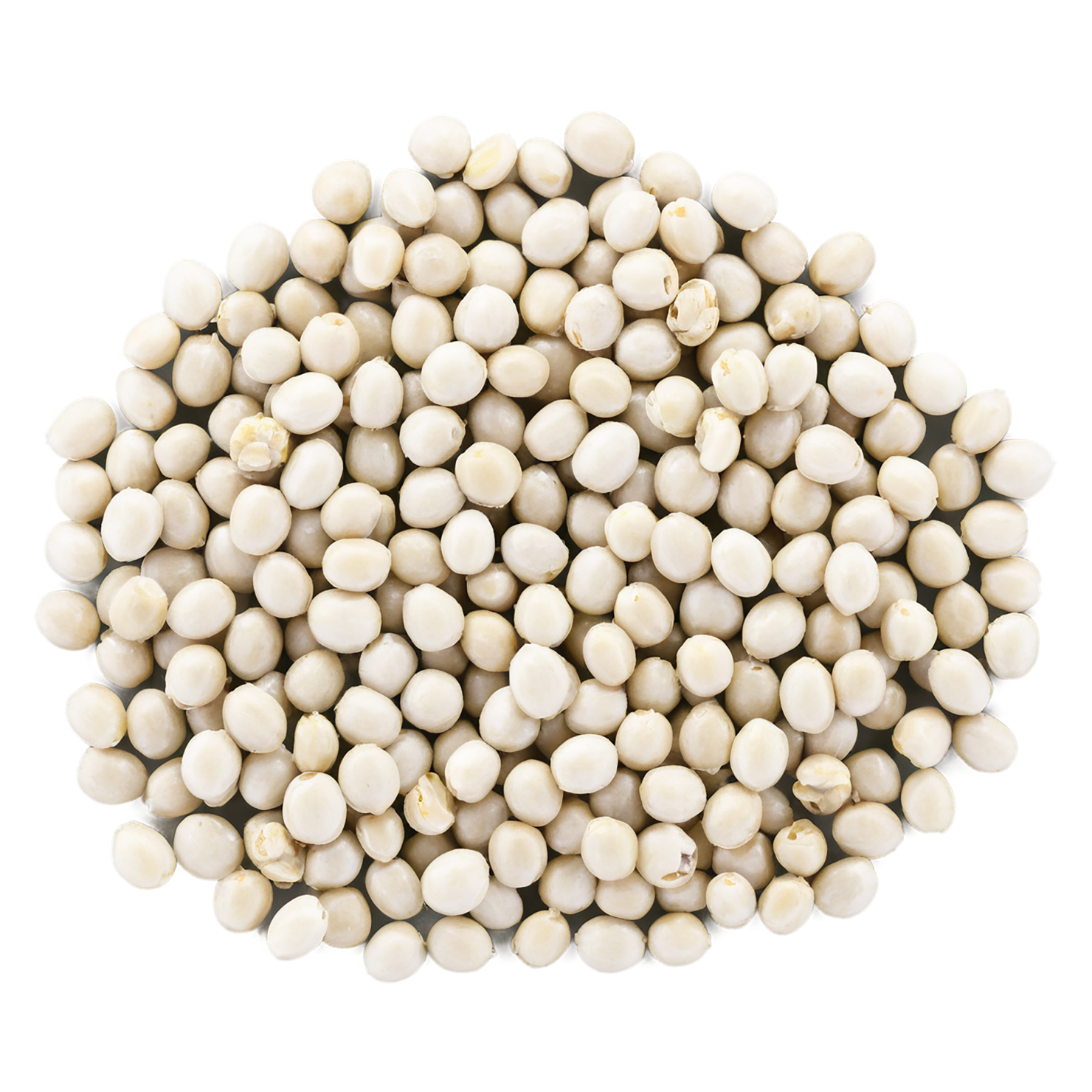 Hemp seeds isolated on transparent background #8842