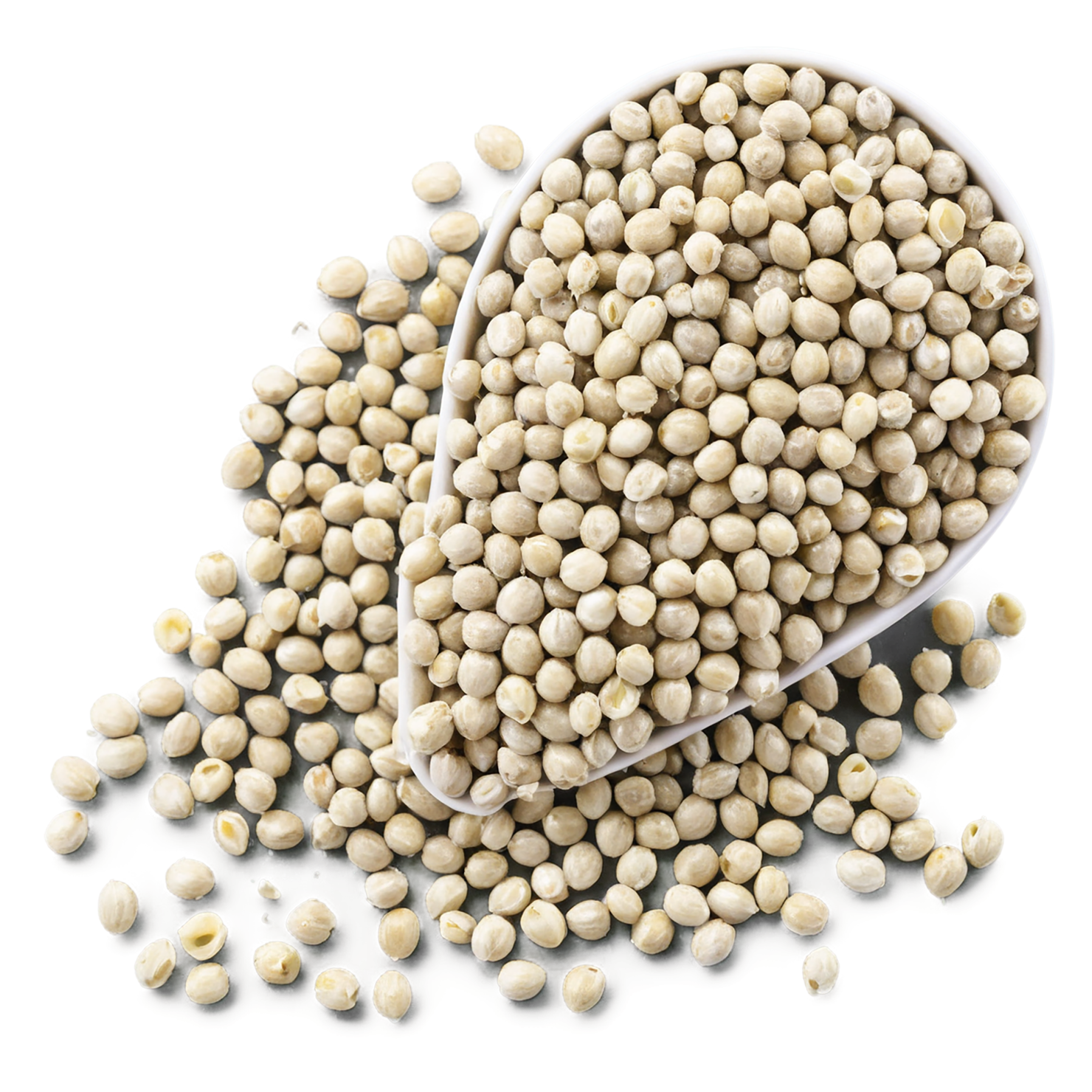 Hemp seeds isolated on transparent background #8844