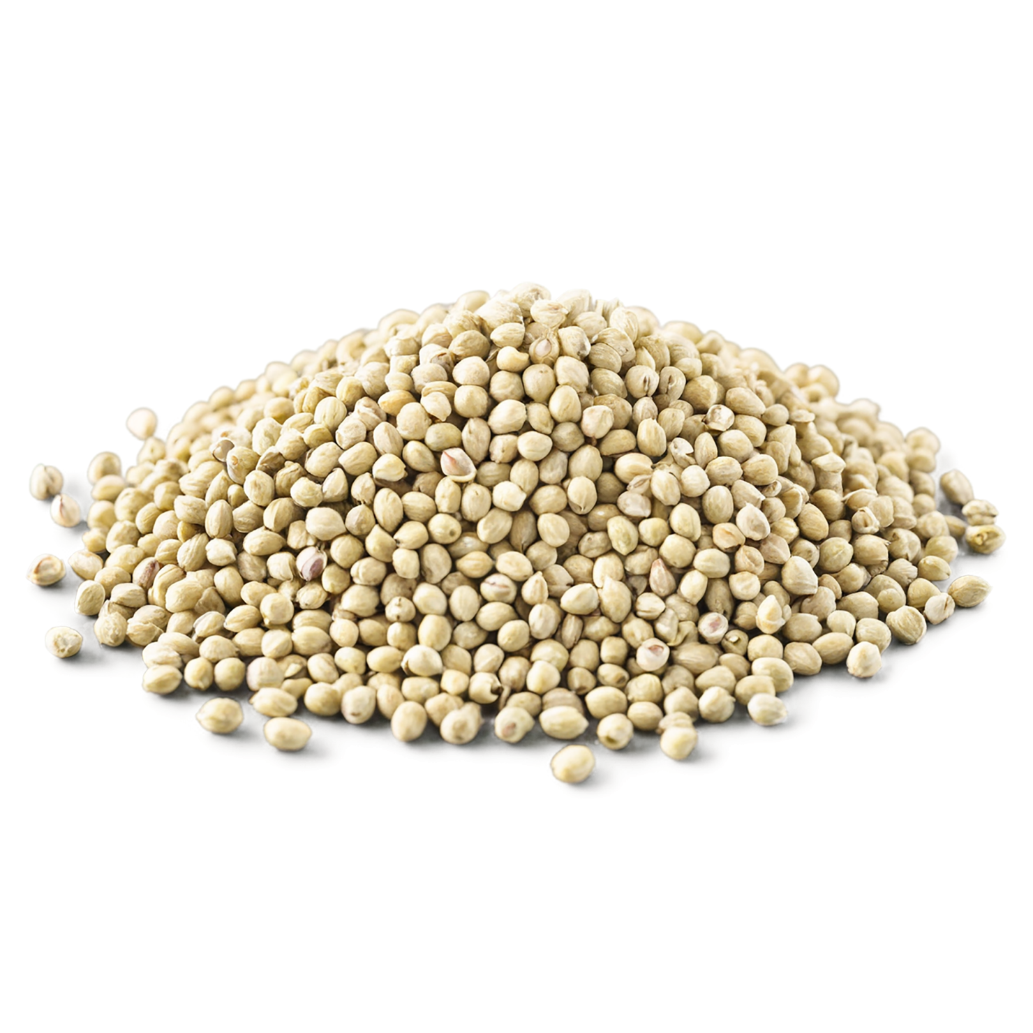 Hemp seeds isolated on transparent background #8847