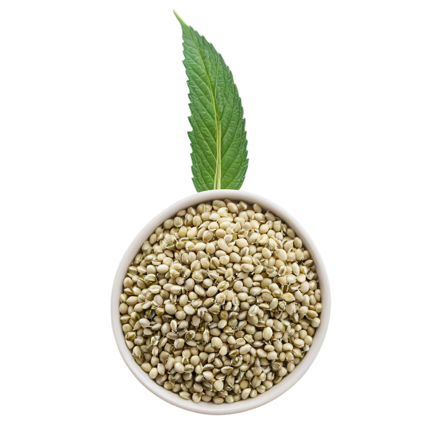 Hemp seeds isolated on transparent background #8848