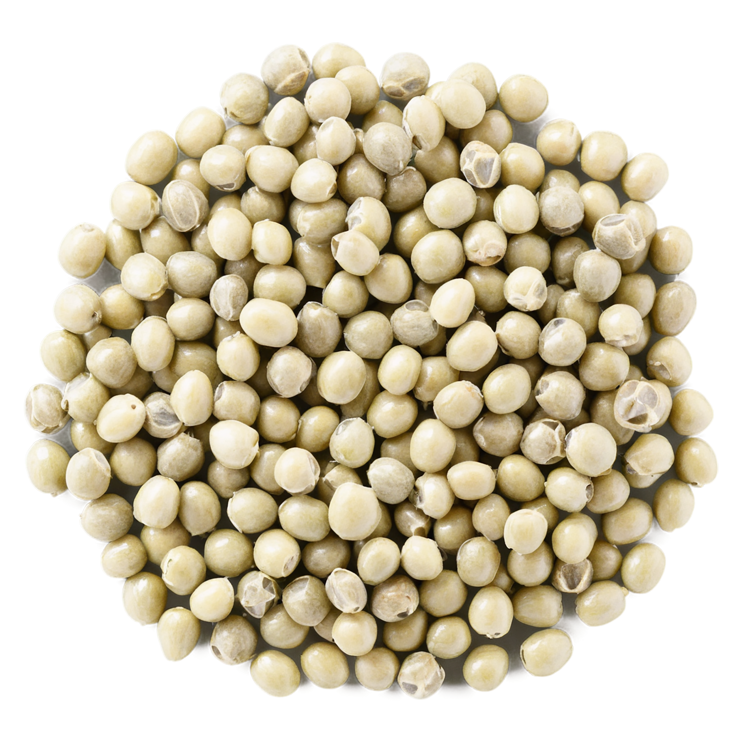 Hemp seeds isolated on transparent background #8849