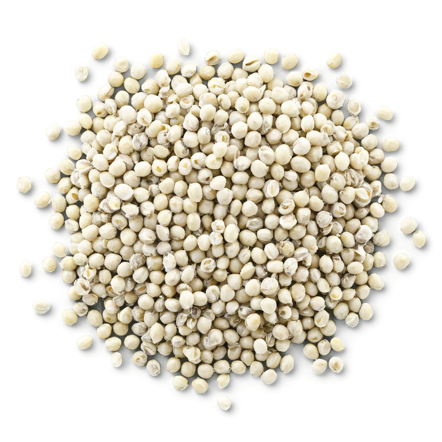 Hemp seeds isolated on transparent background #8850