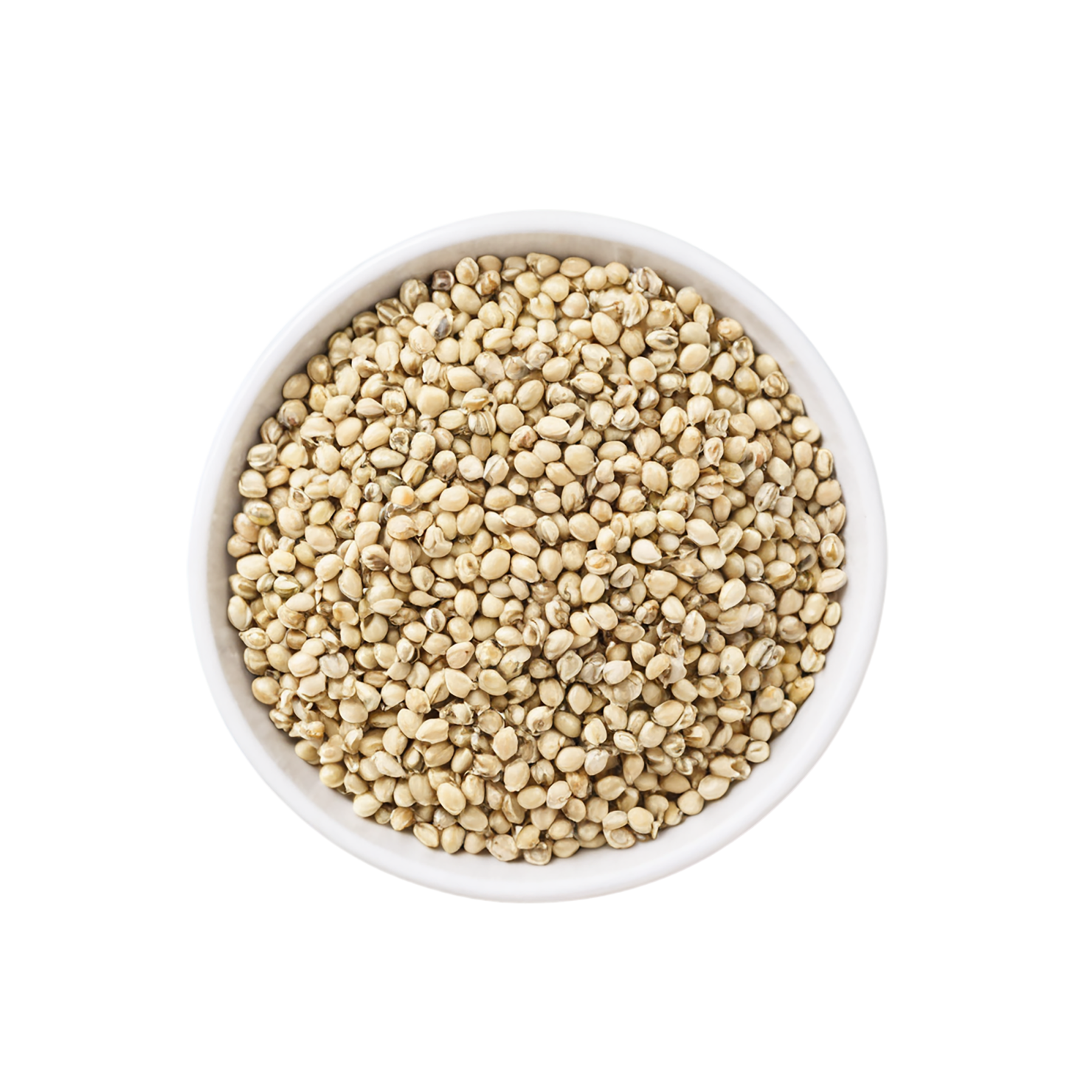 Hemp seeds isolated on transparent background #8851