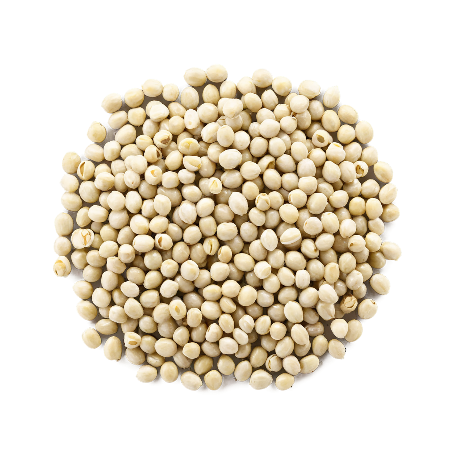 Hemp seeds isolated on transparent background #8852