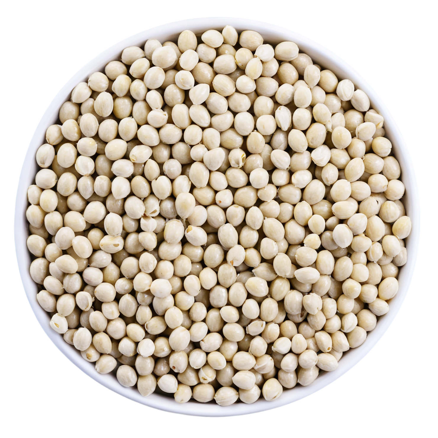 Hemp seeds isolated on transparent background #8855