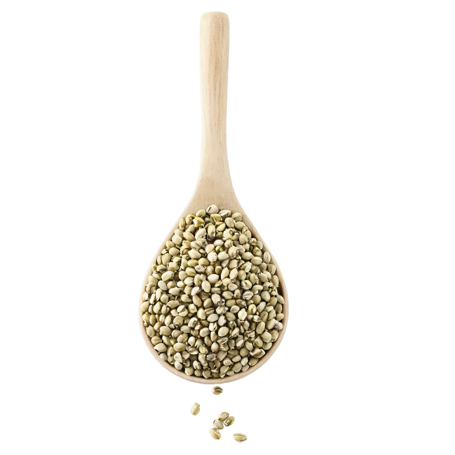 Hemp seeds isolated on transparent background #8856