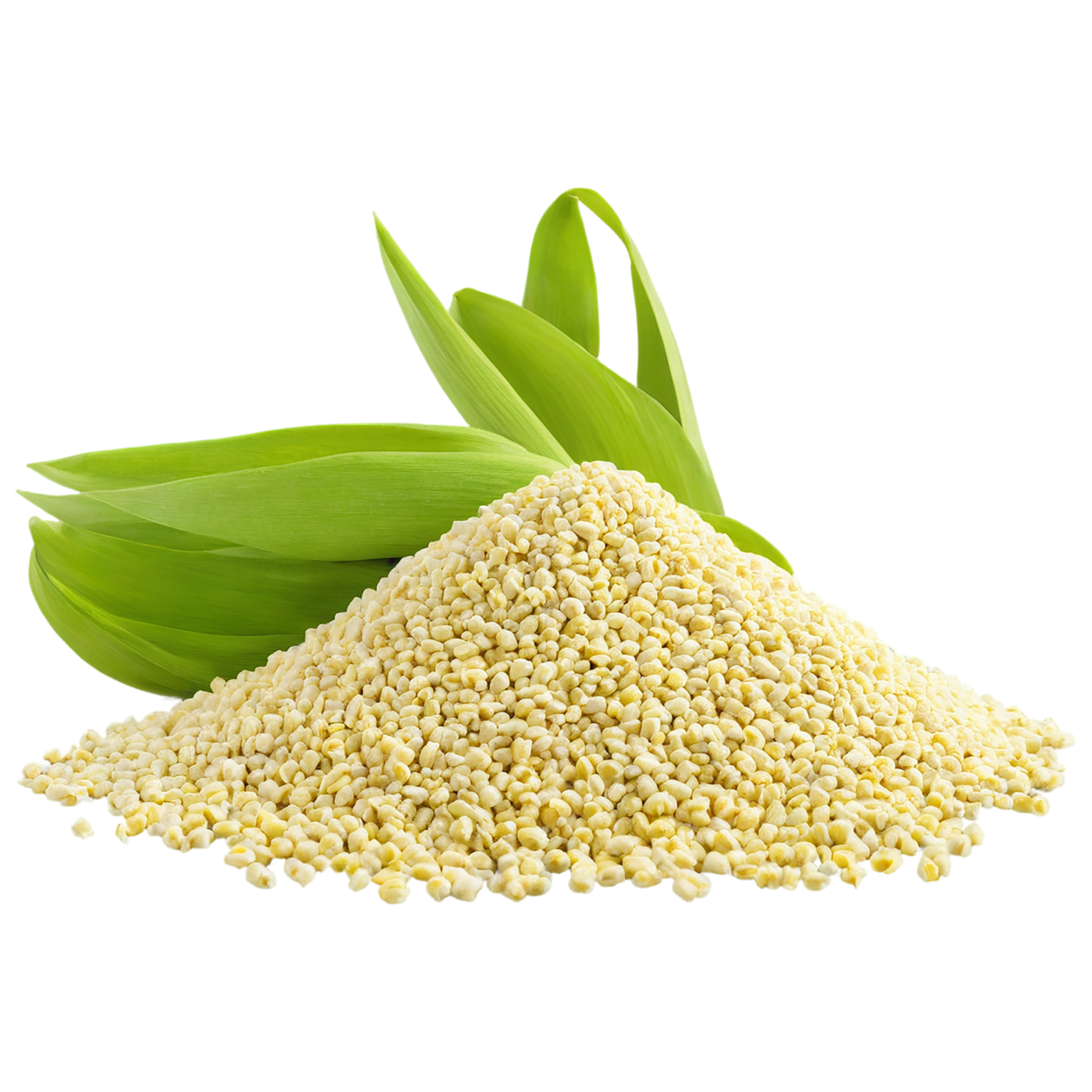 Millet seeds isolated on transparent background #8860