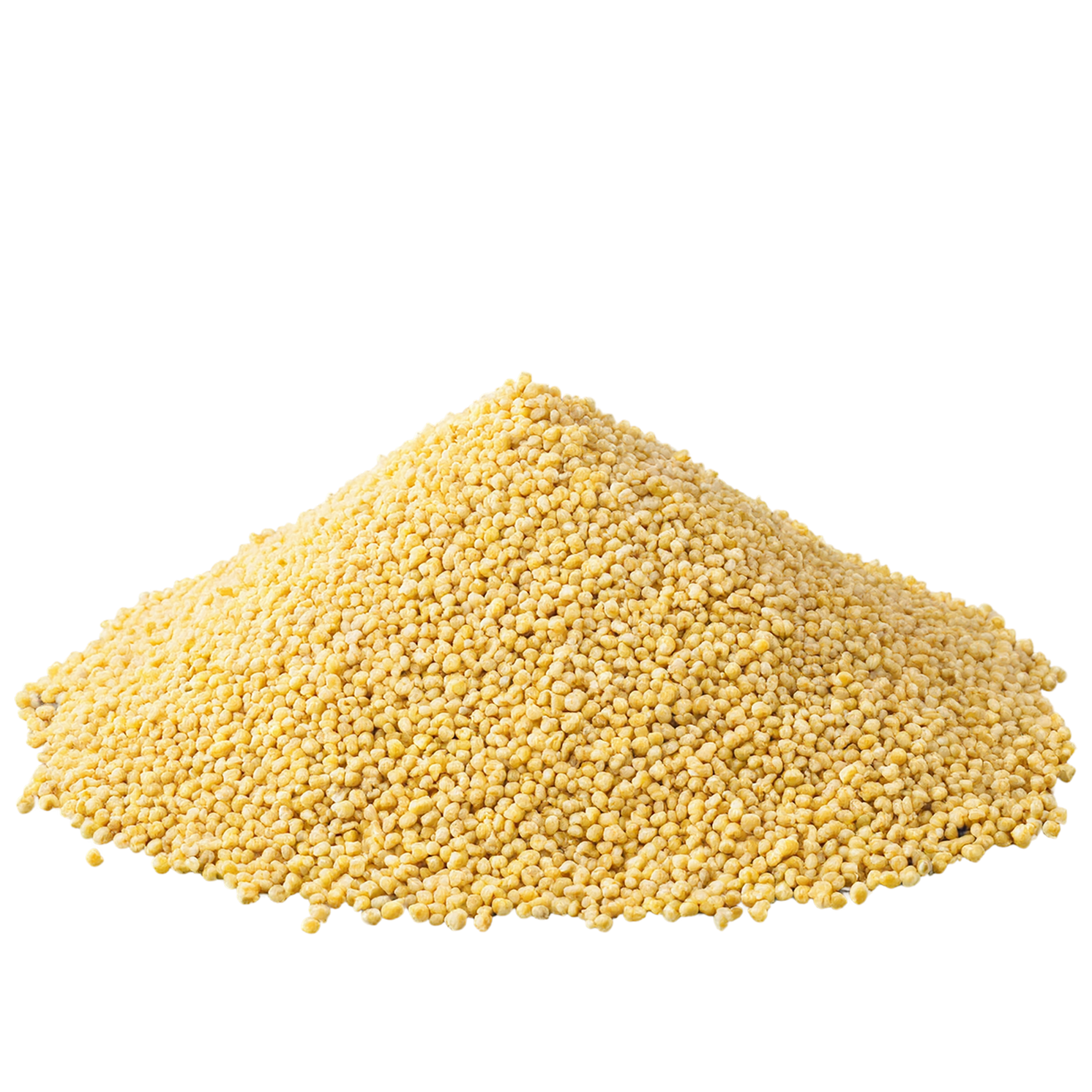 Millet seeds isolated on transparent background #8865