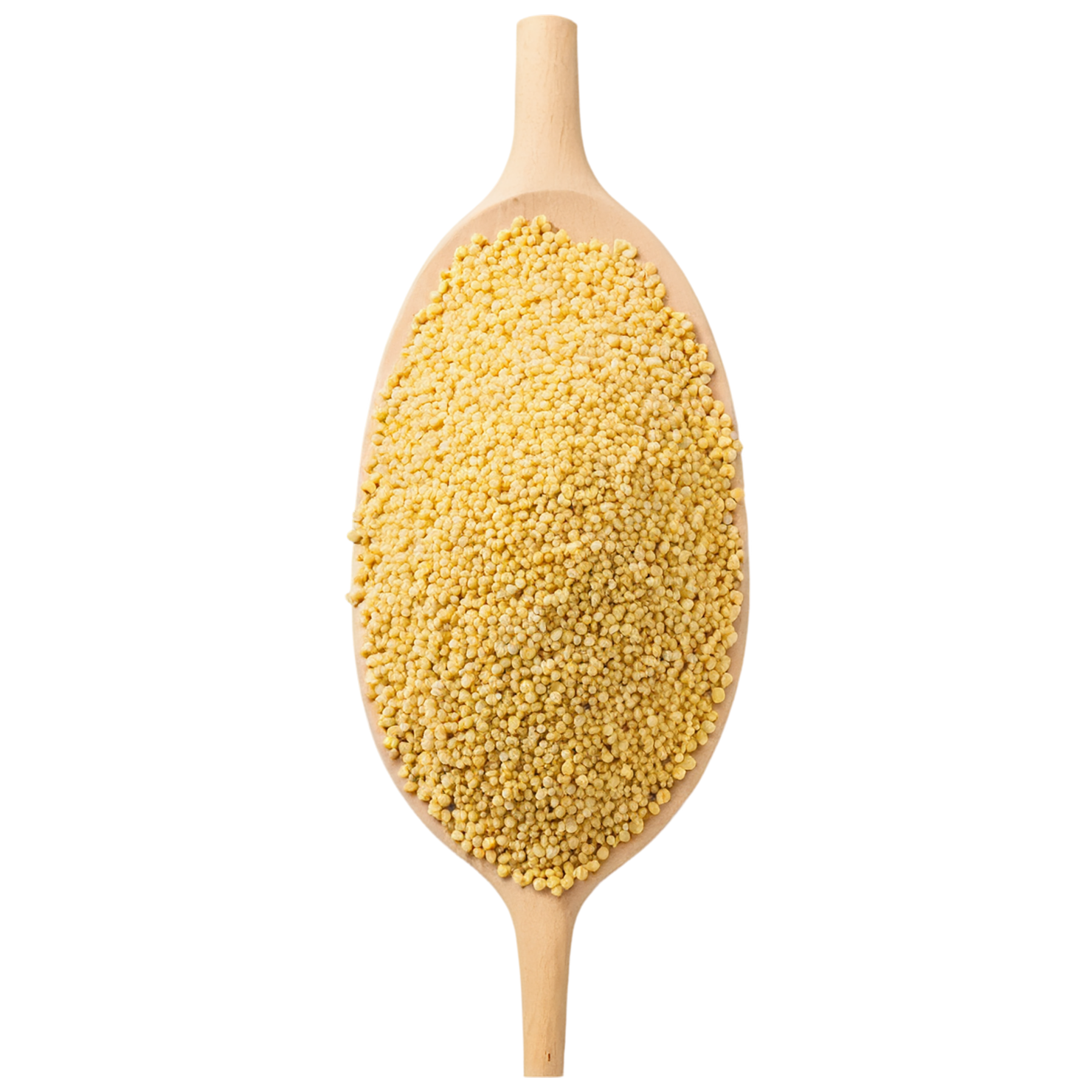 Millet seeds isolated on transparent background #8866