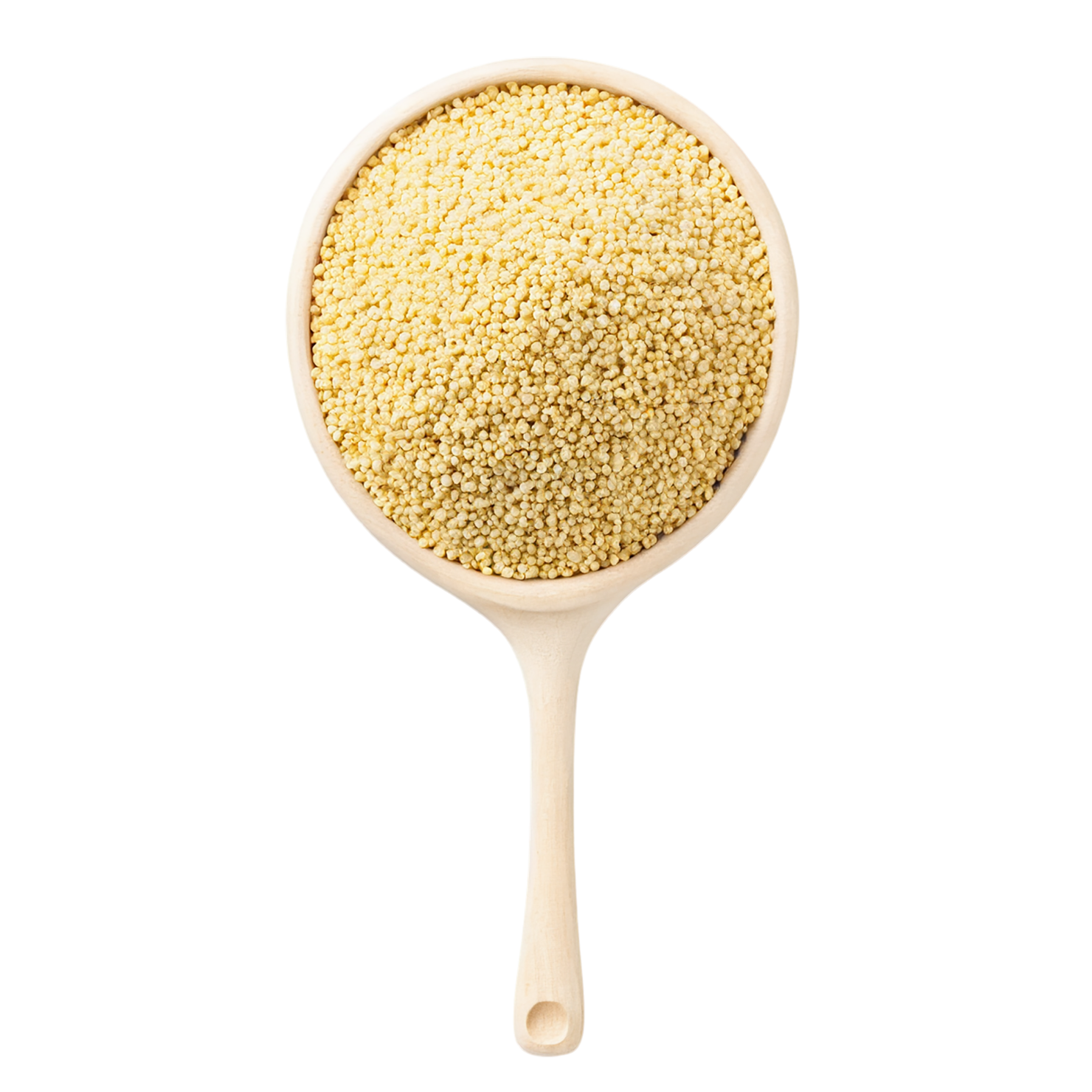 Millet seeds isolated on transparent background #8869