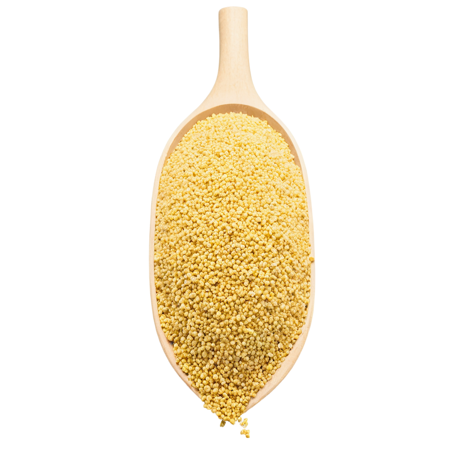 Millet seeds isolated on transparent background #8871