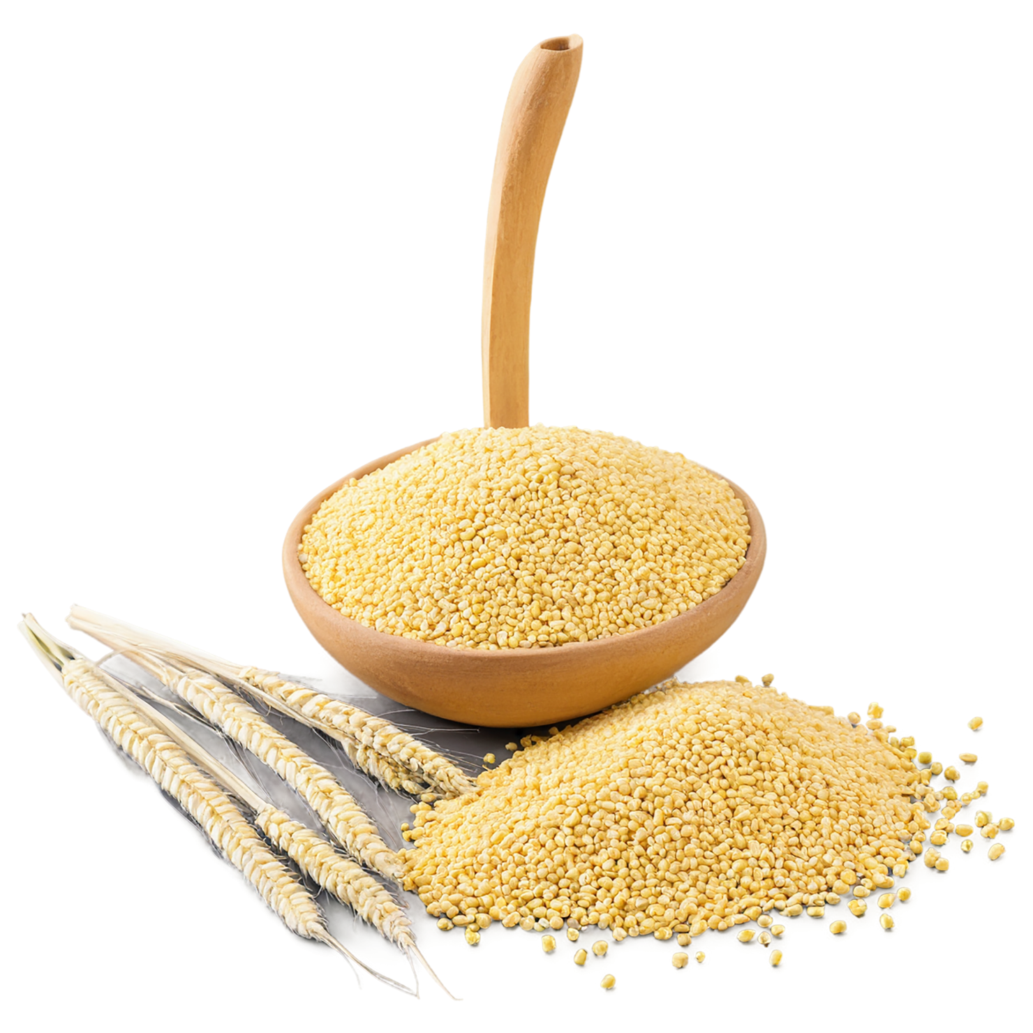 Millet seeds isolated on transparent background #8878
