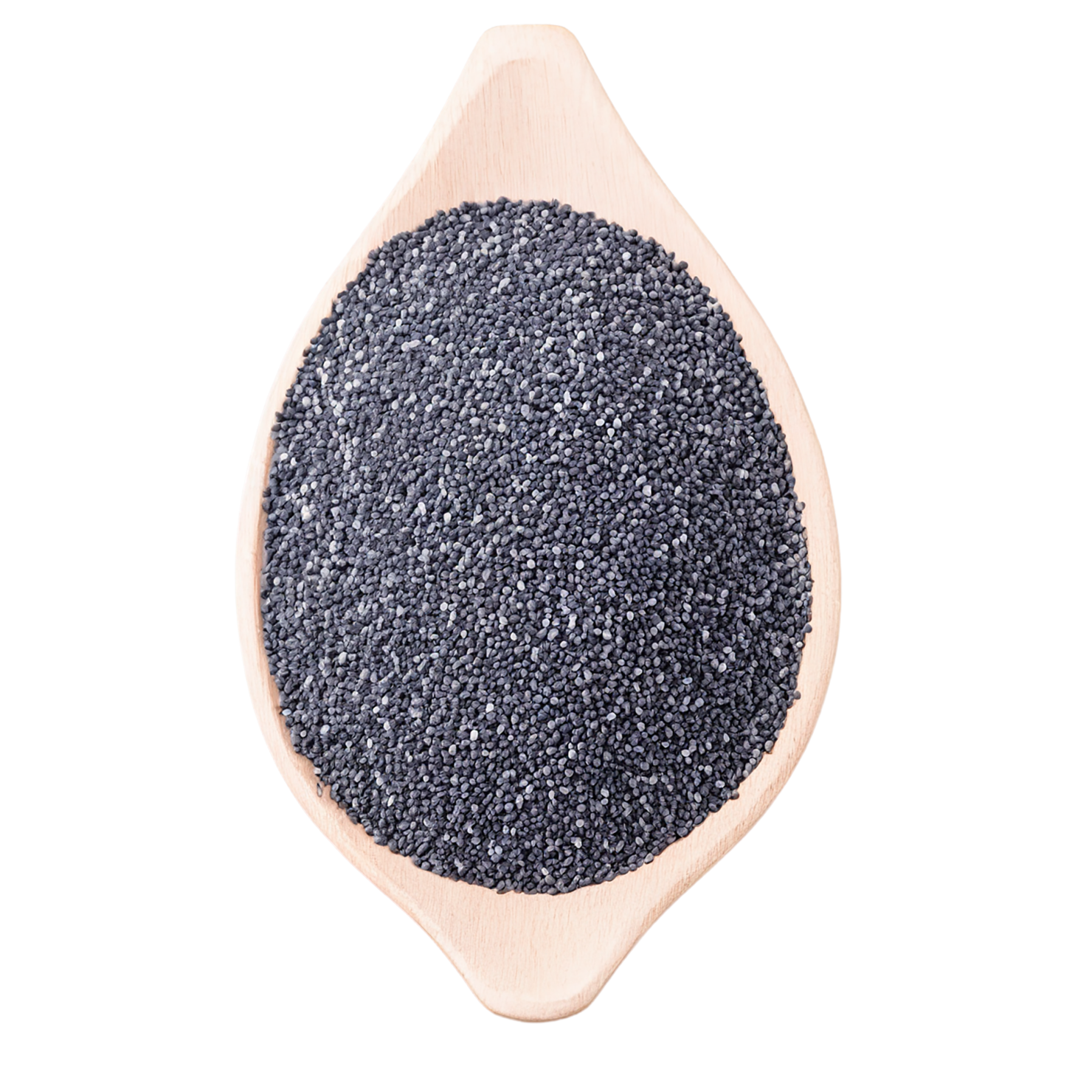 Poppy seeds isolated on transparent background #8893