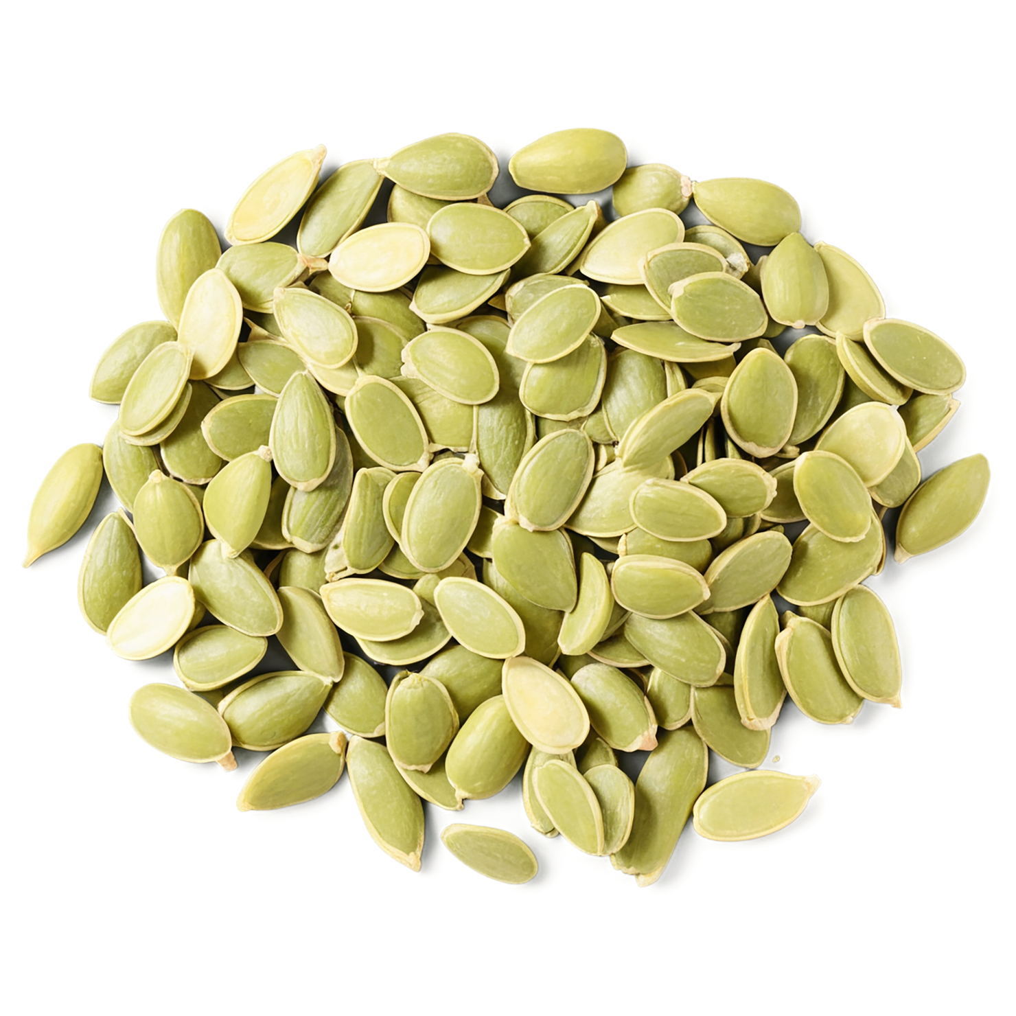 pumpkin seeds isolated on transparent background #8904