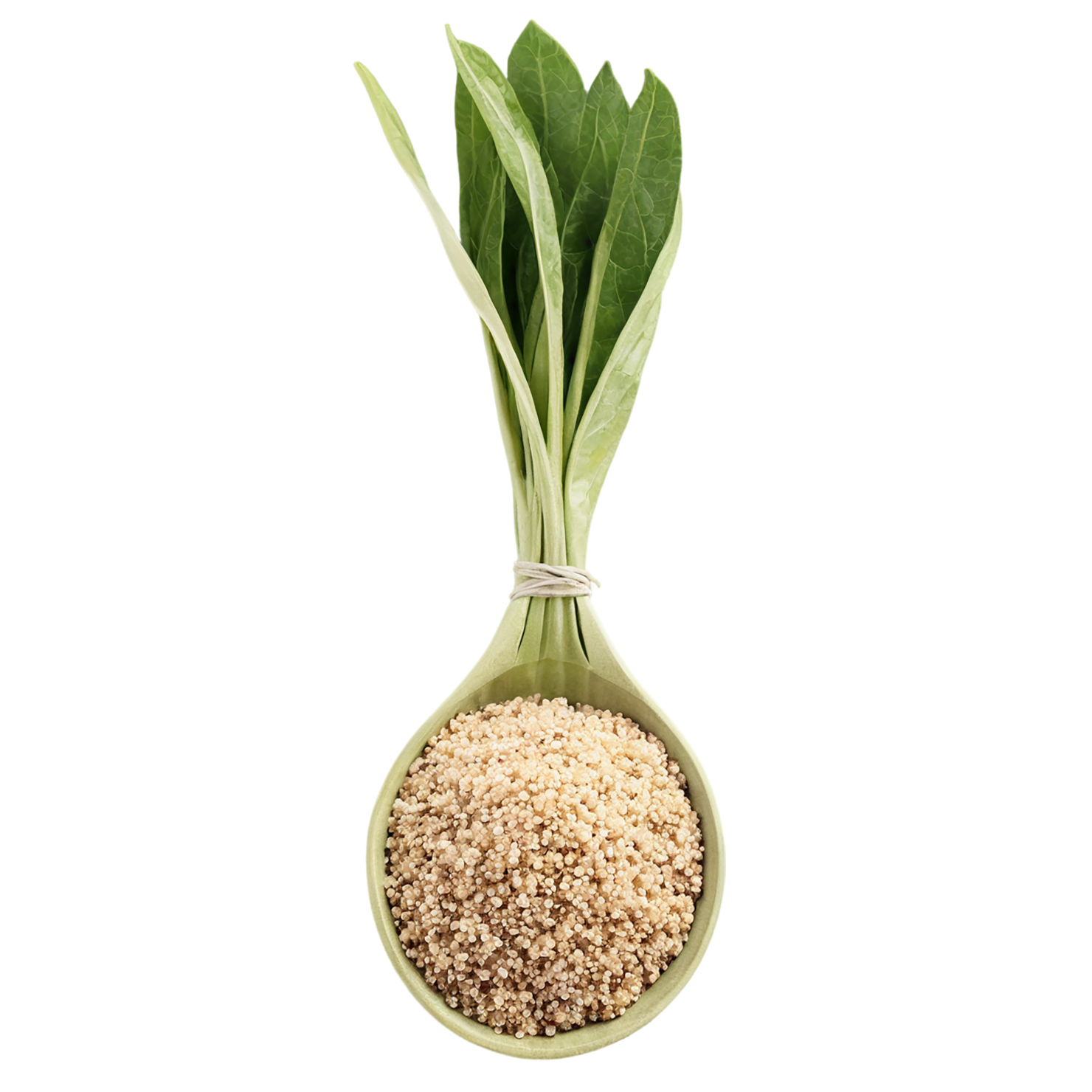 Quinoa seeds isolated on transparent background #8918